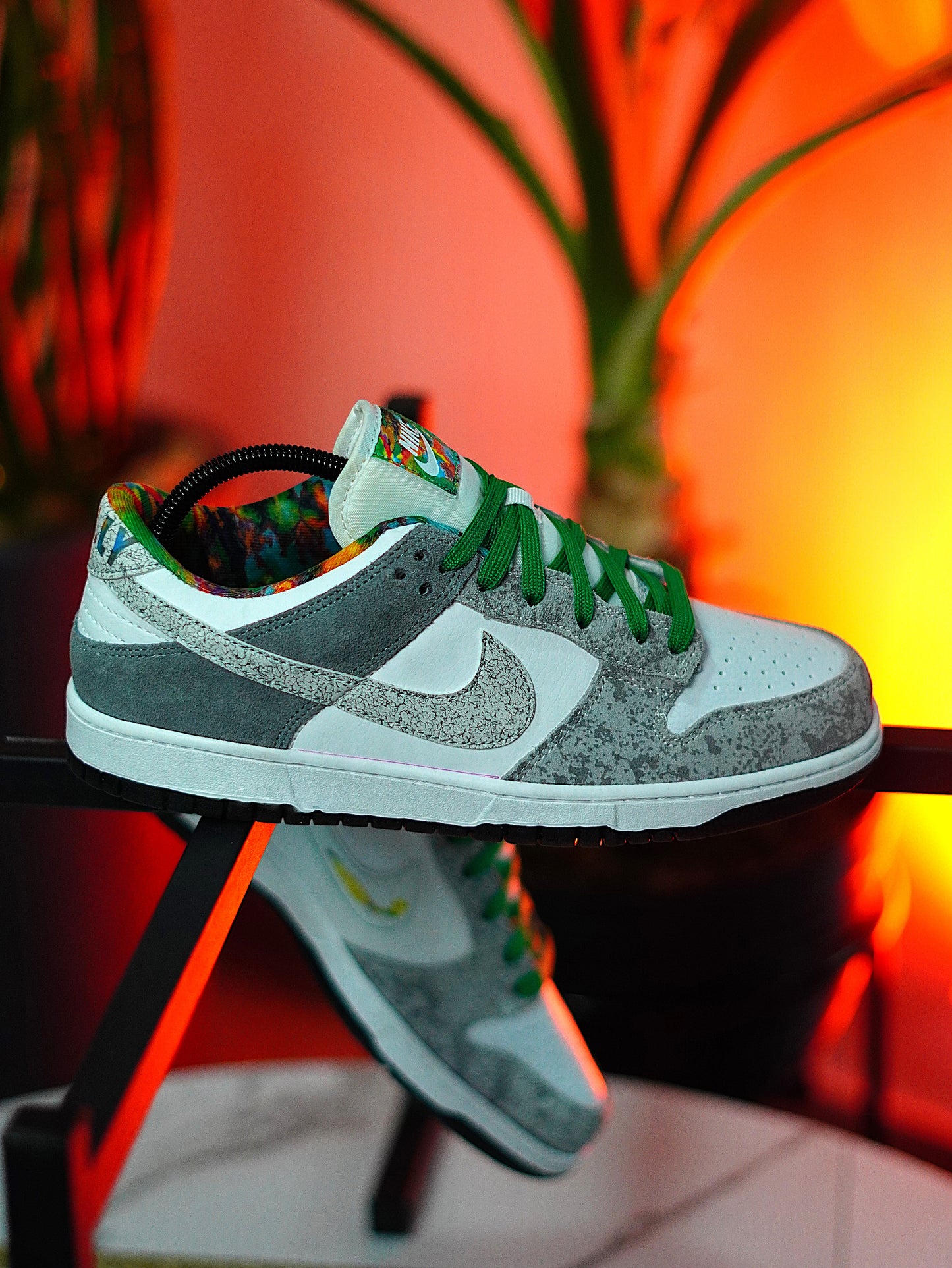 Nike Dunk Low Retro Premium Philly