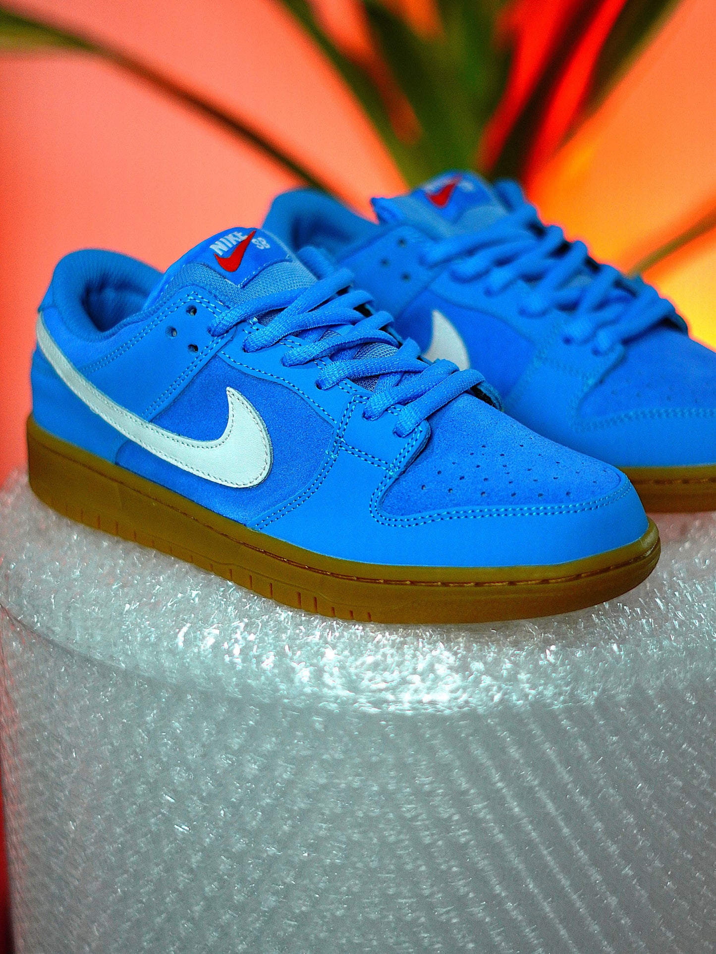 Nike SB Dunk Low Pro "University Blue"