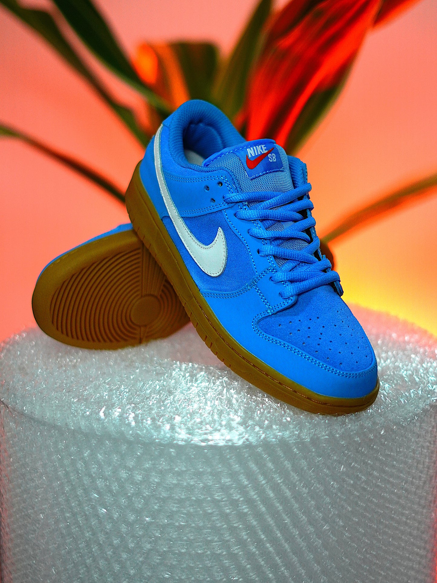 Nike SB Dunk Low Pro "University Blue"