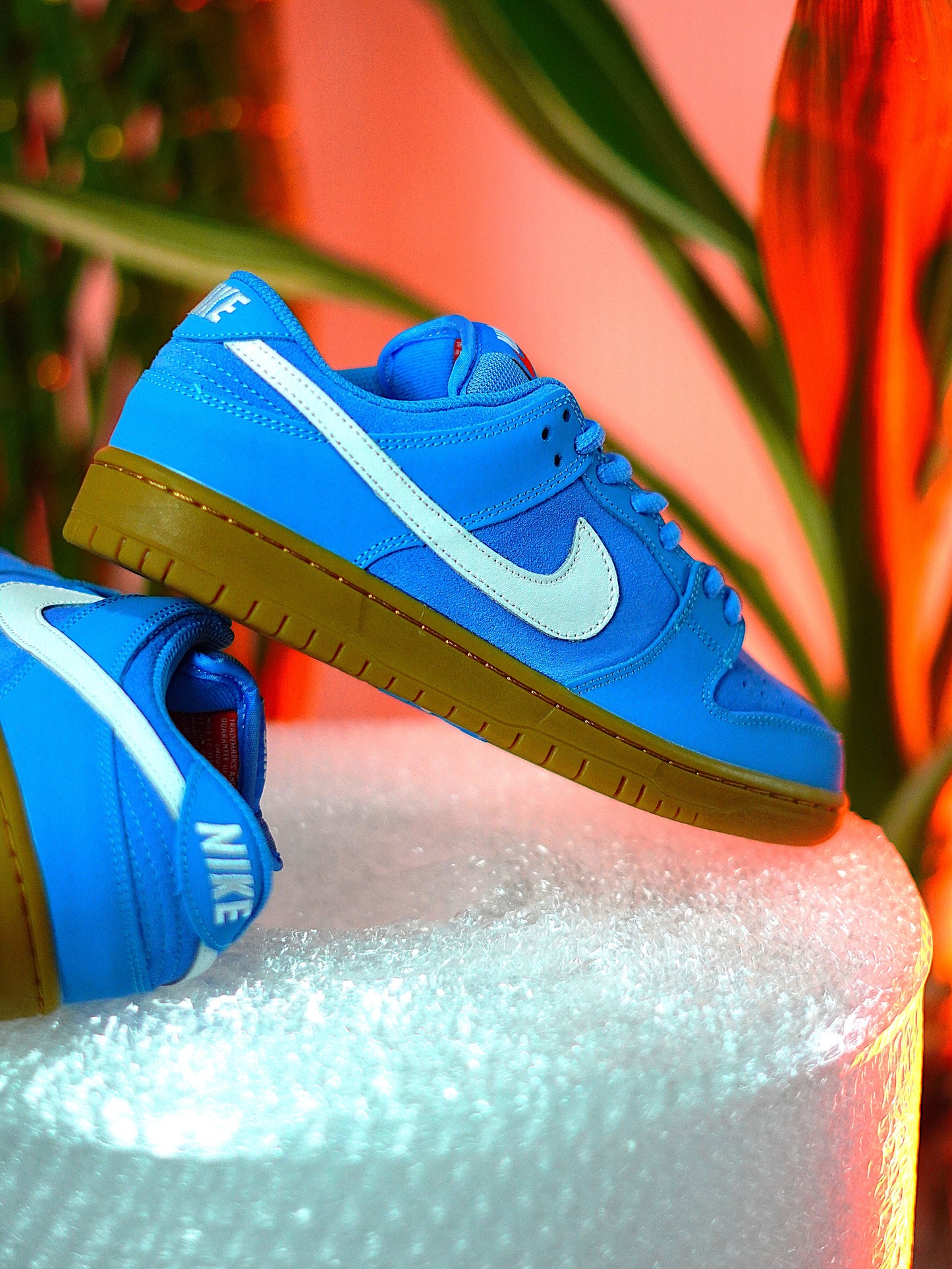 Nike SB Dunk Low Pro "University Blue"