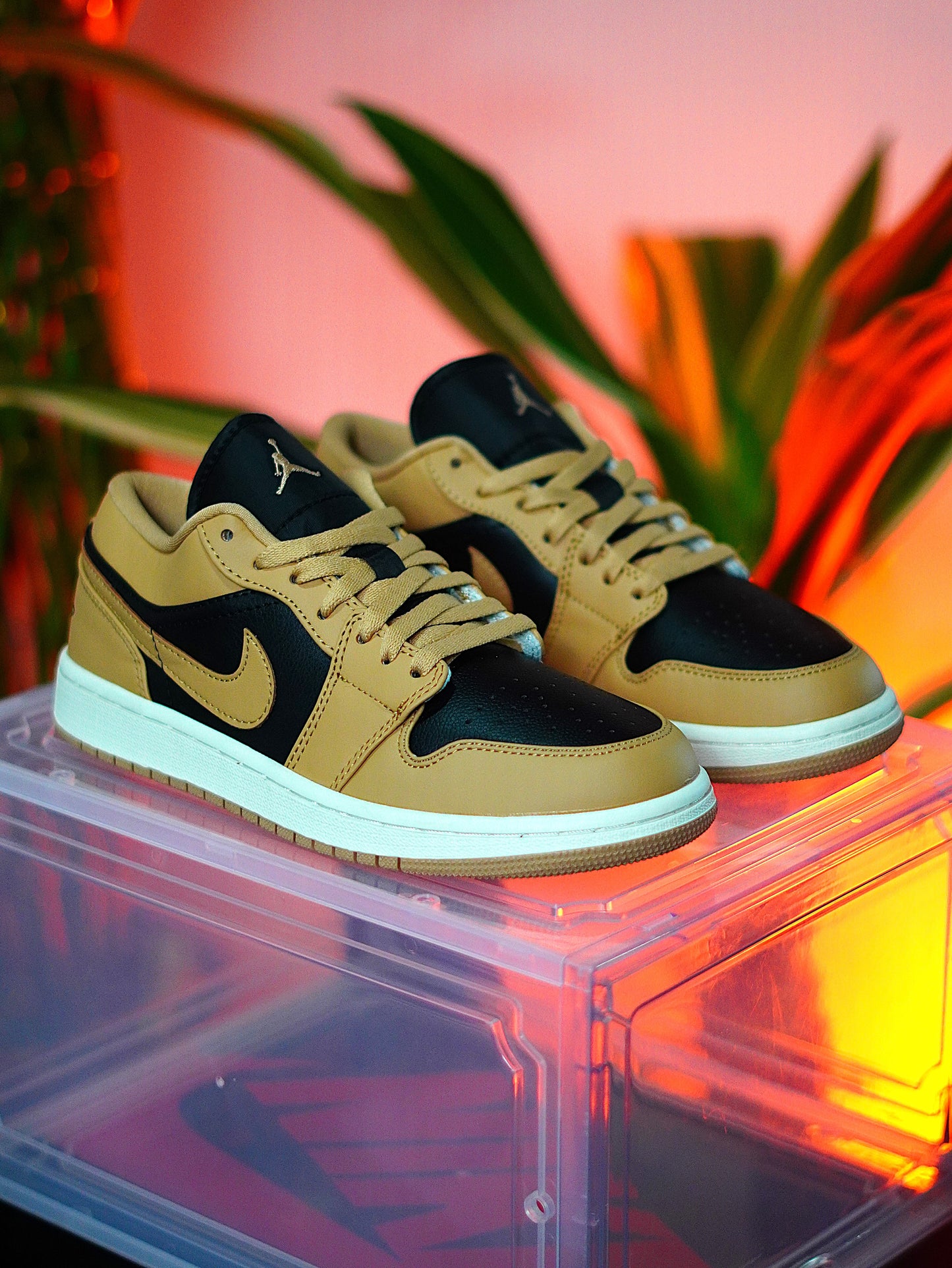 Nike Air Jordan 1 Low - Desert Tan and Black