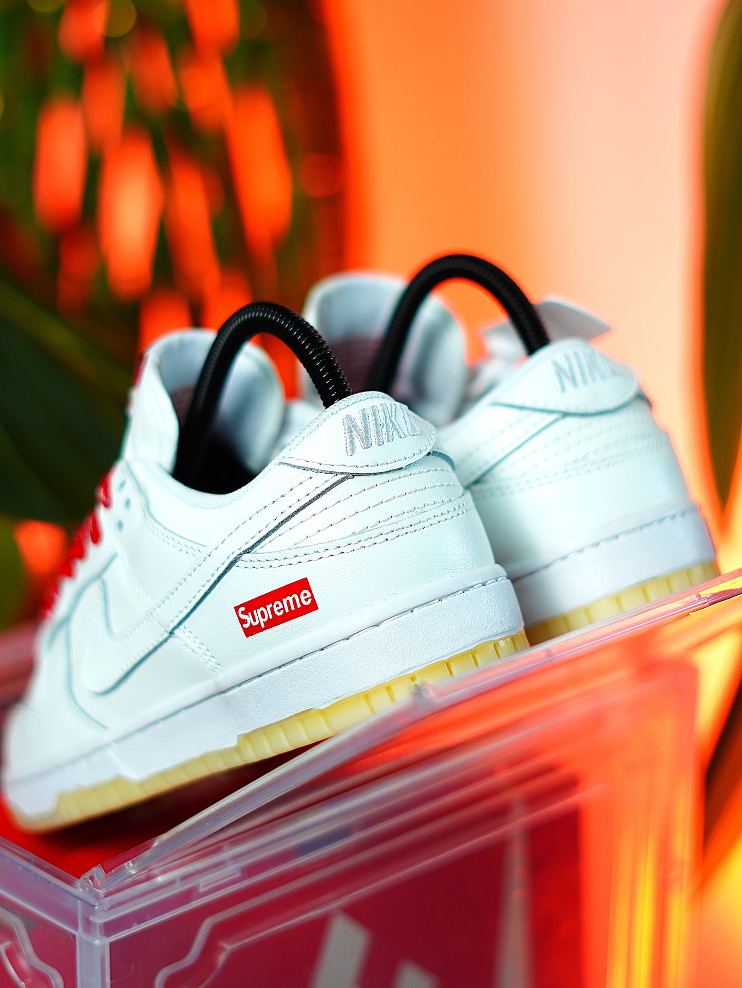 Nike SB Dunk x Supreme