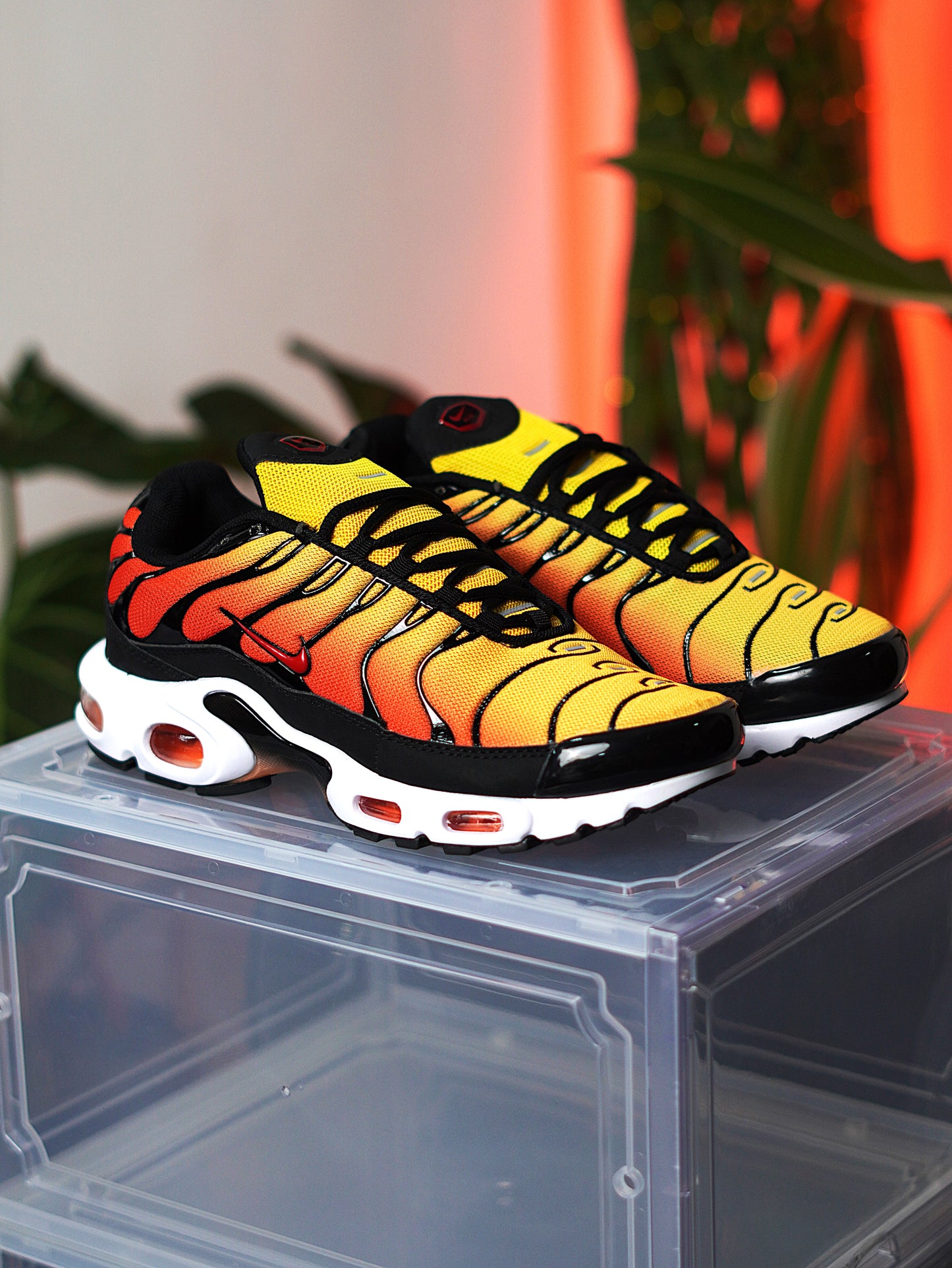 Nike Air Max Plus Sunset