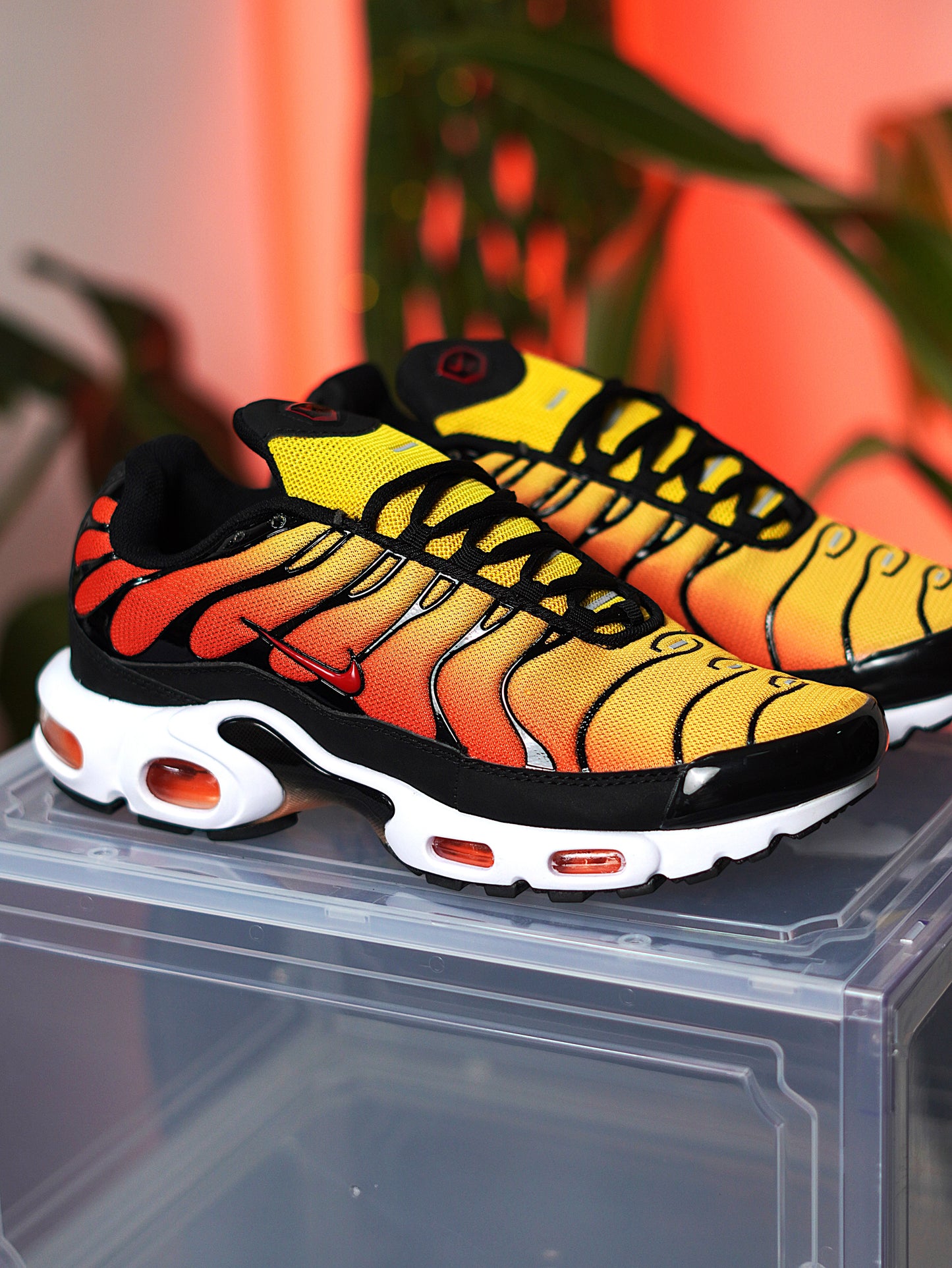 Nike Air Max Plus Sunset