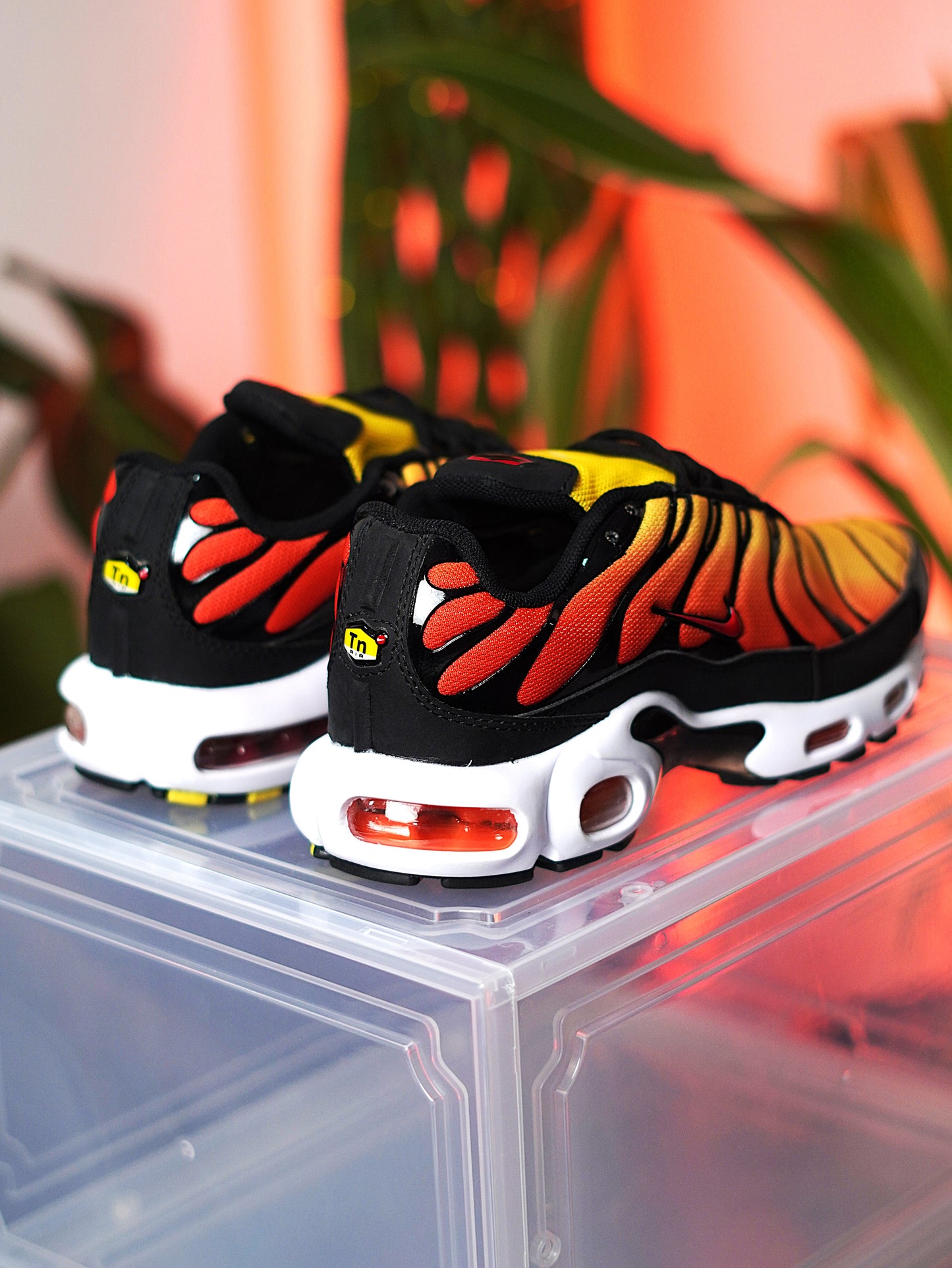 Nike Air Max Plus Sunset