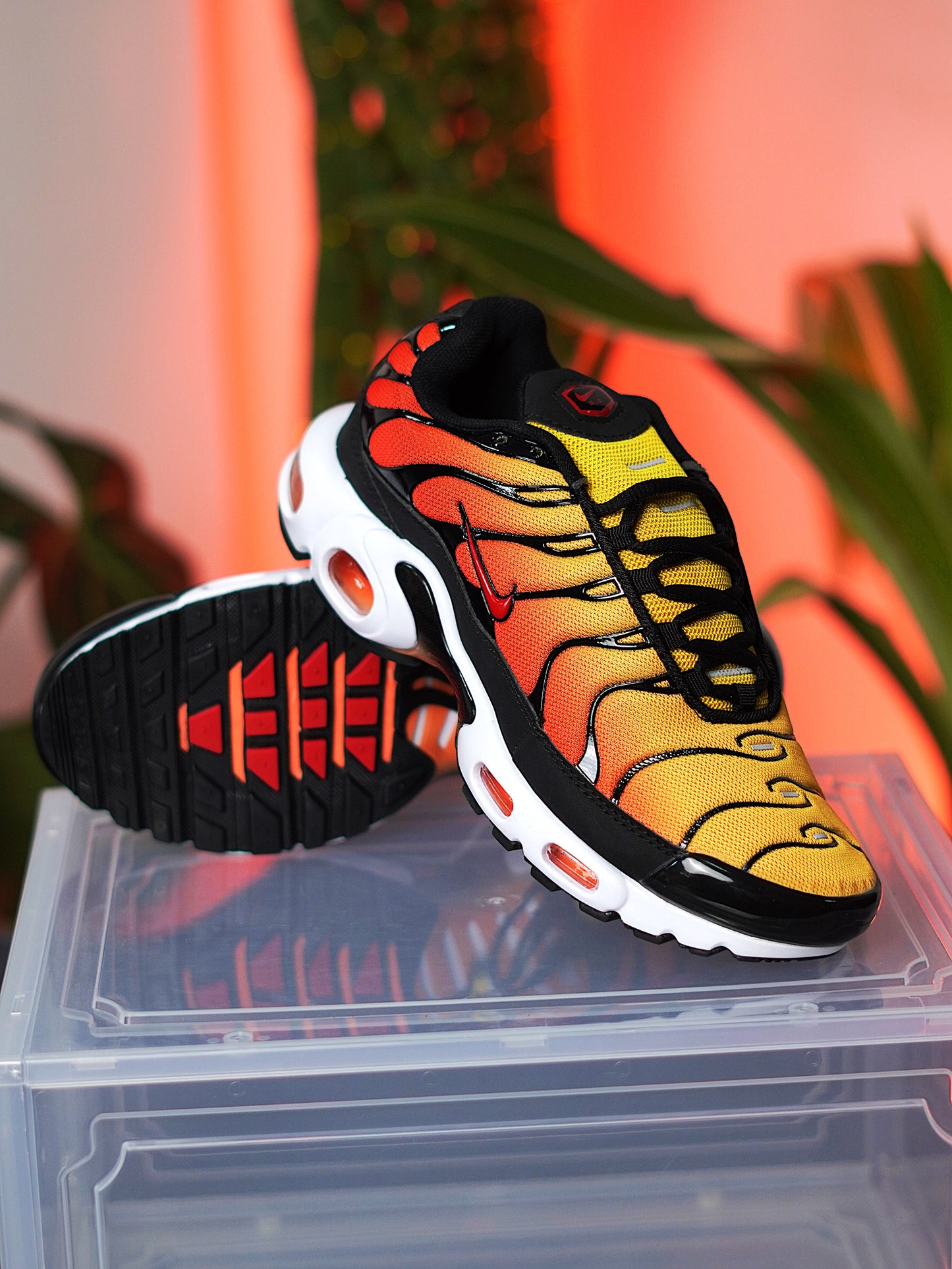 Nike Air Max Plus Sunset