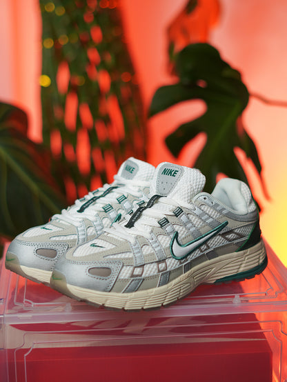 Nike P-6000 Light Bone