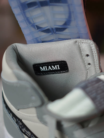 Air Jordan Retro 1 X DIOR