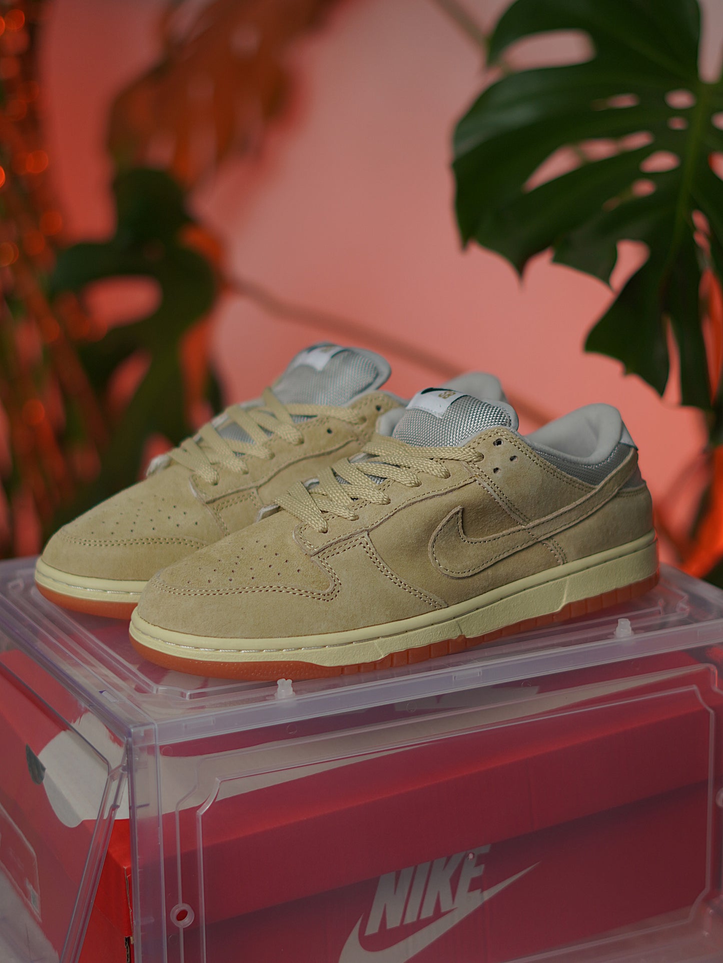 Nike Sb Dunk low / Parachute beige