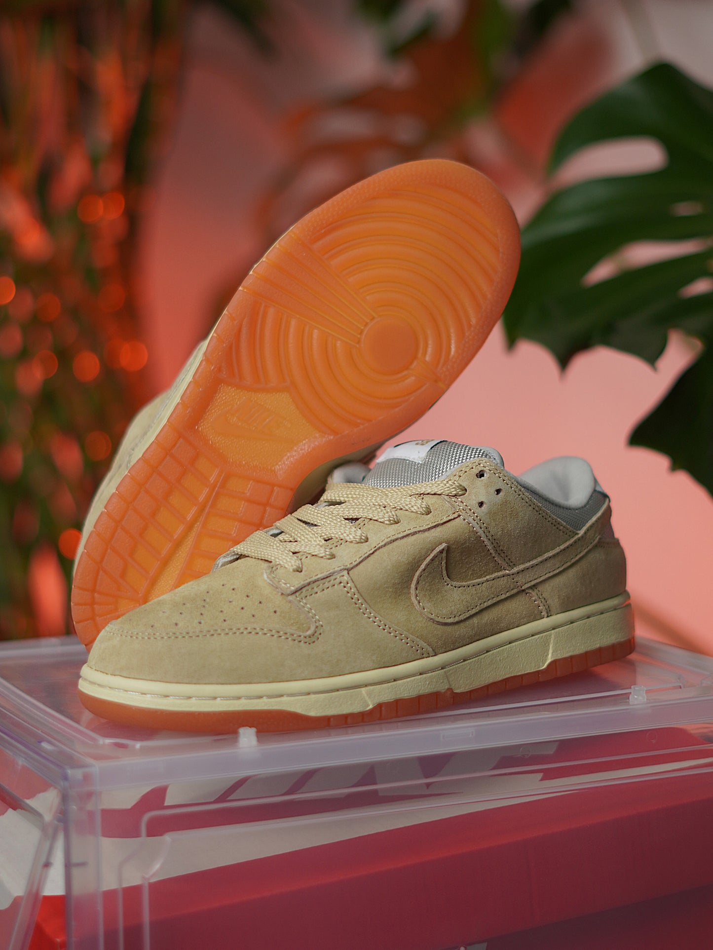 Nike Sb Dunk low / Parachute beige