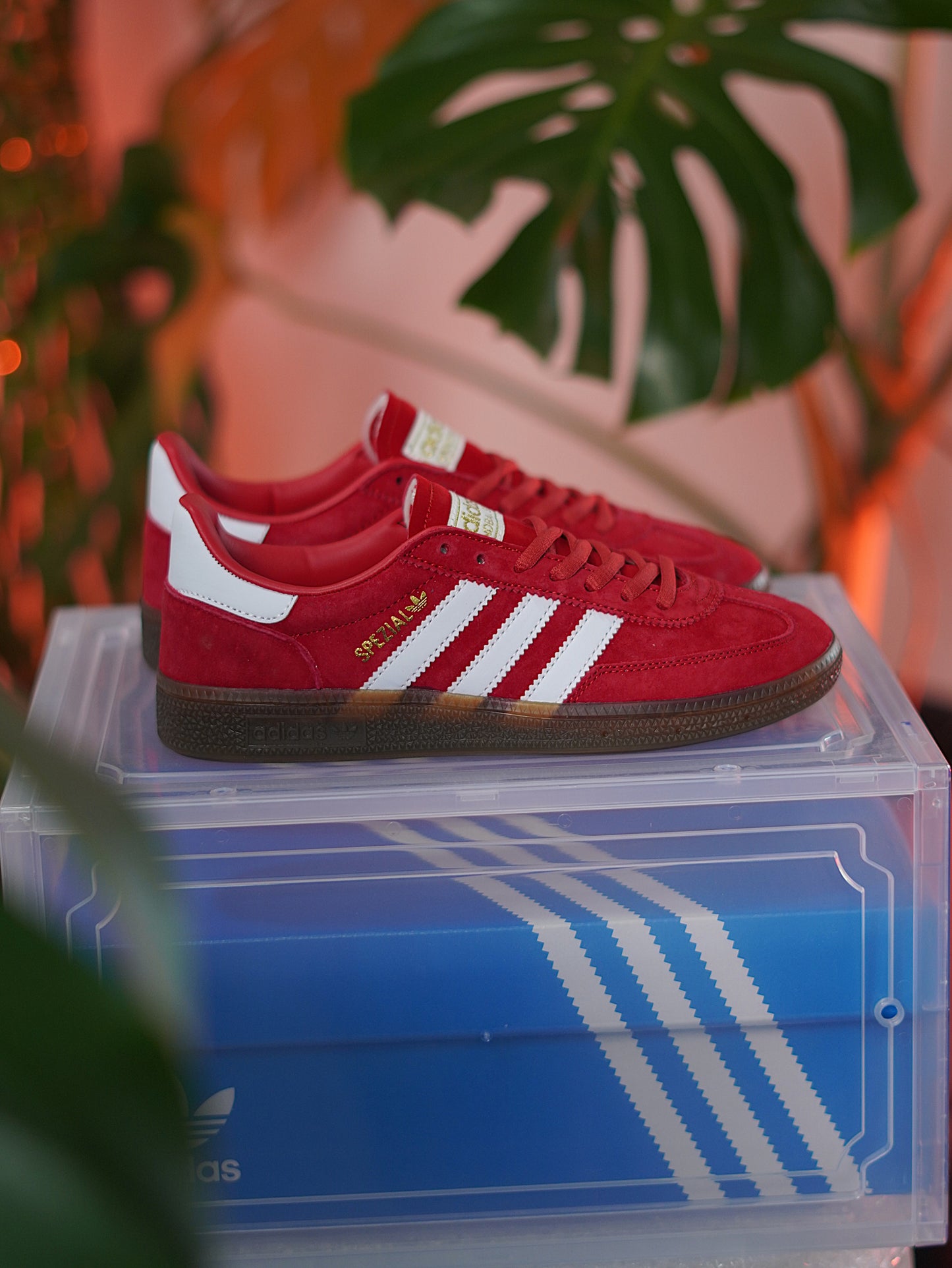 Adidas Handball Spezial / Scarlet / Cloud White / Gum