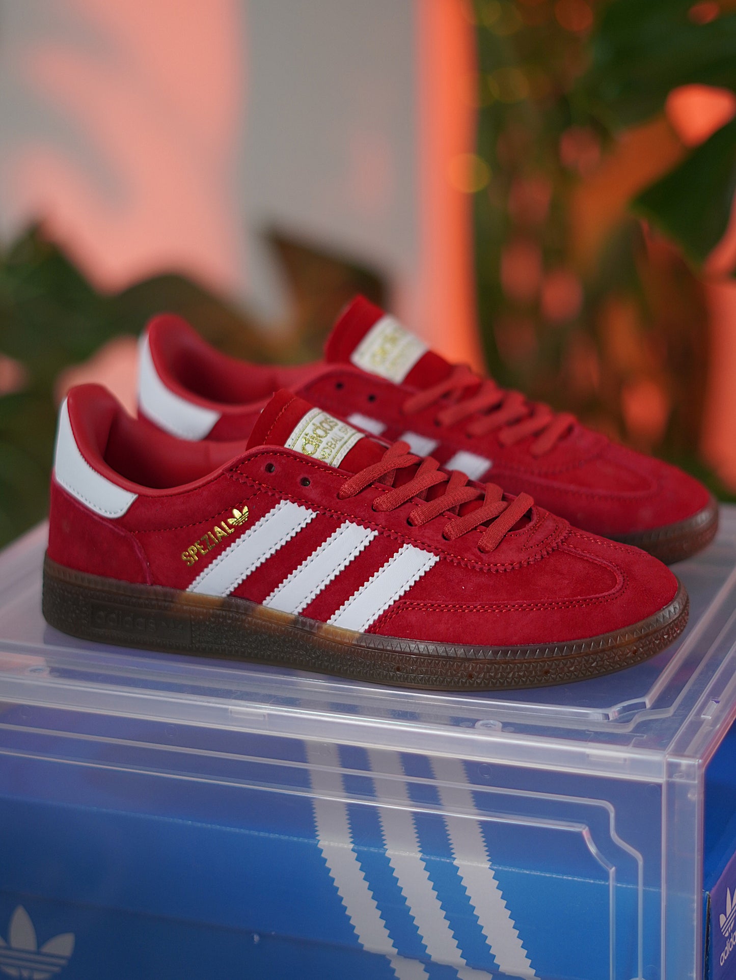 Adidas Handball Spezial / Scarlet / Cloud White / Gum