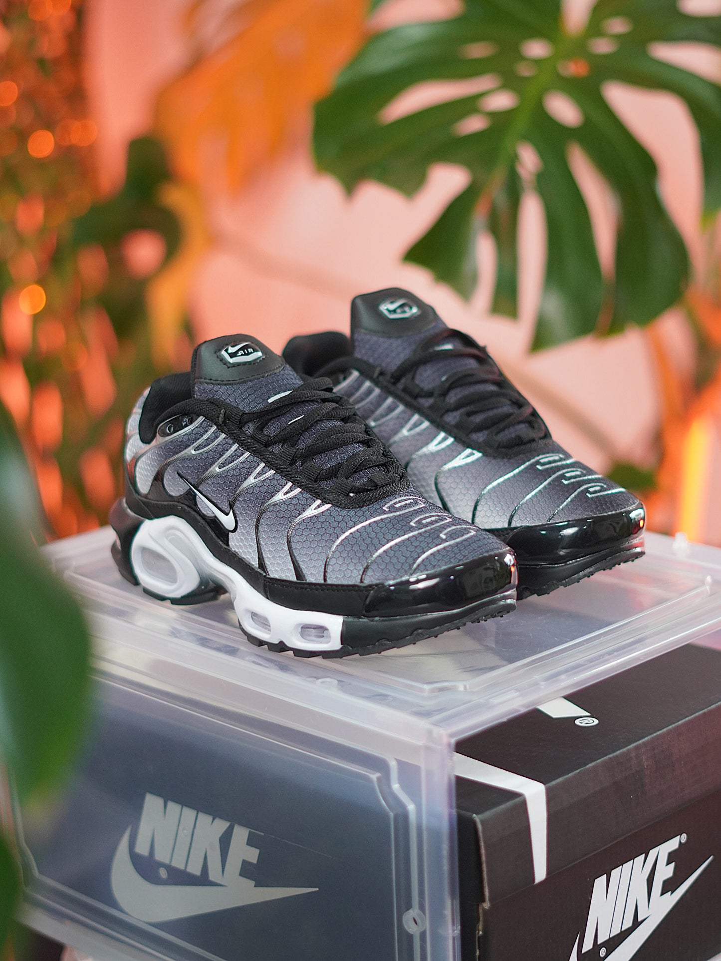 Nike Air Max TN / Negro / Gris