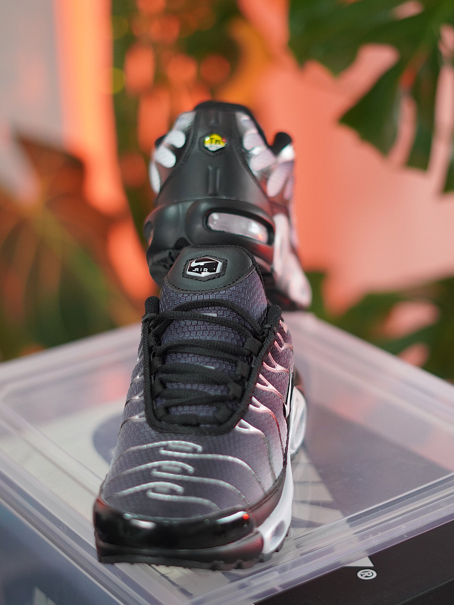 Nike Air Max TN / Negro / Gris