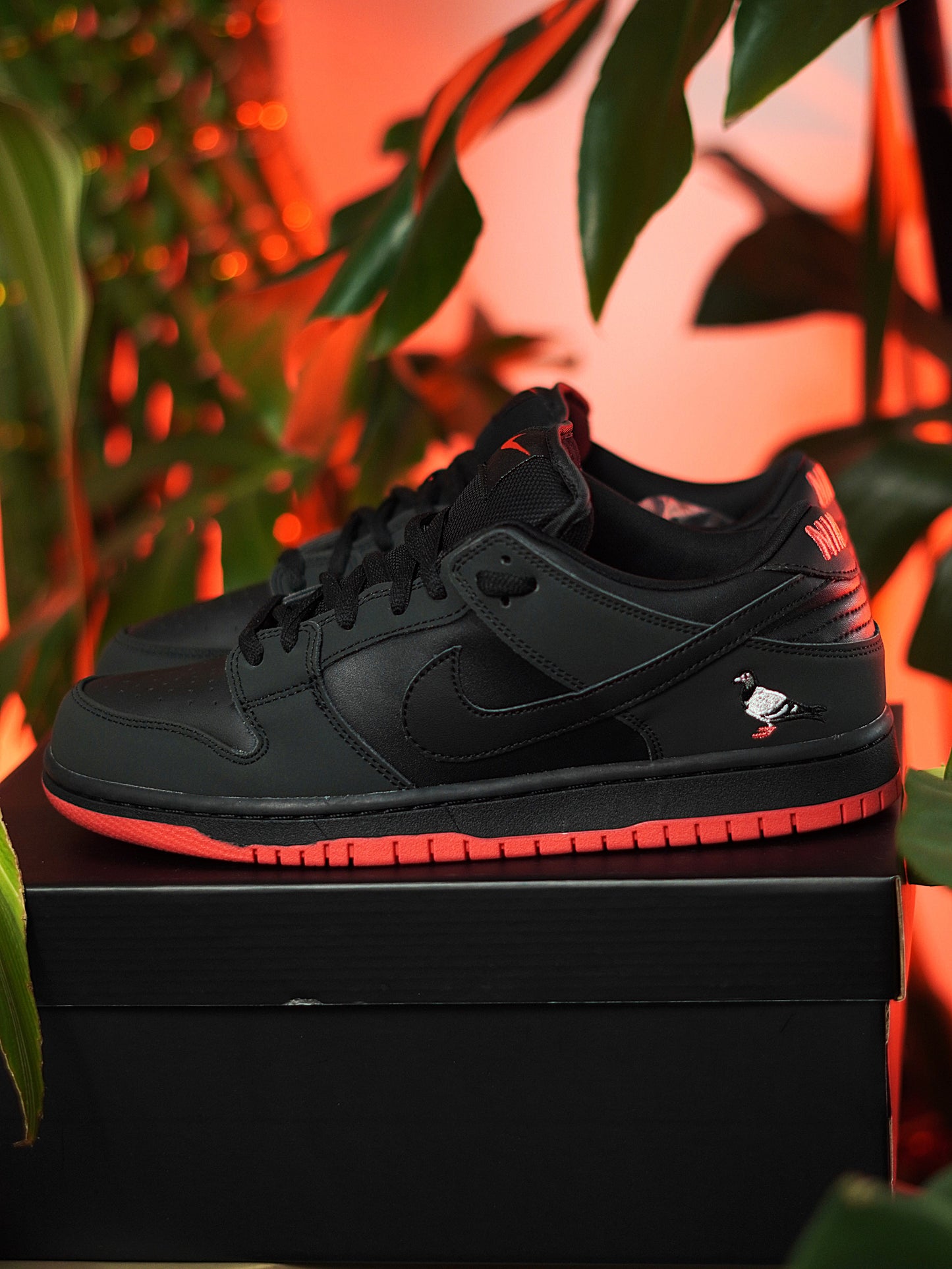 Nike SB Dunk Low Pro Black Pigeon