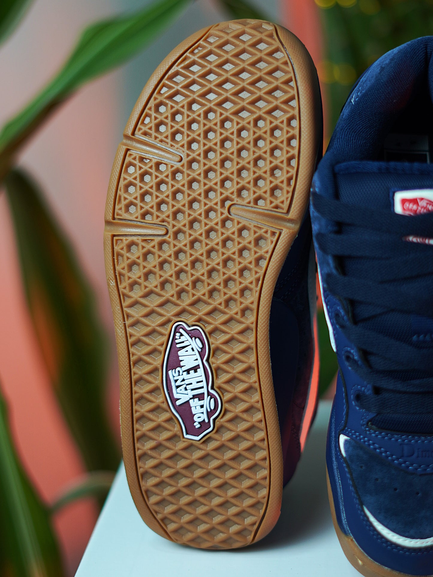 Vans Rowley XLT 25th anniversary Navy Gum