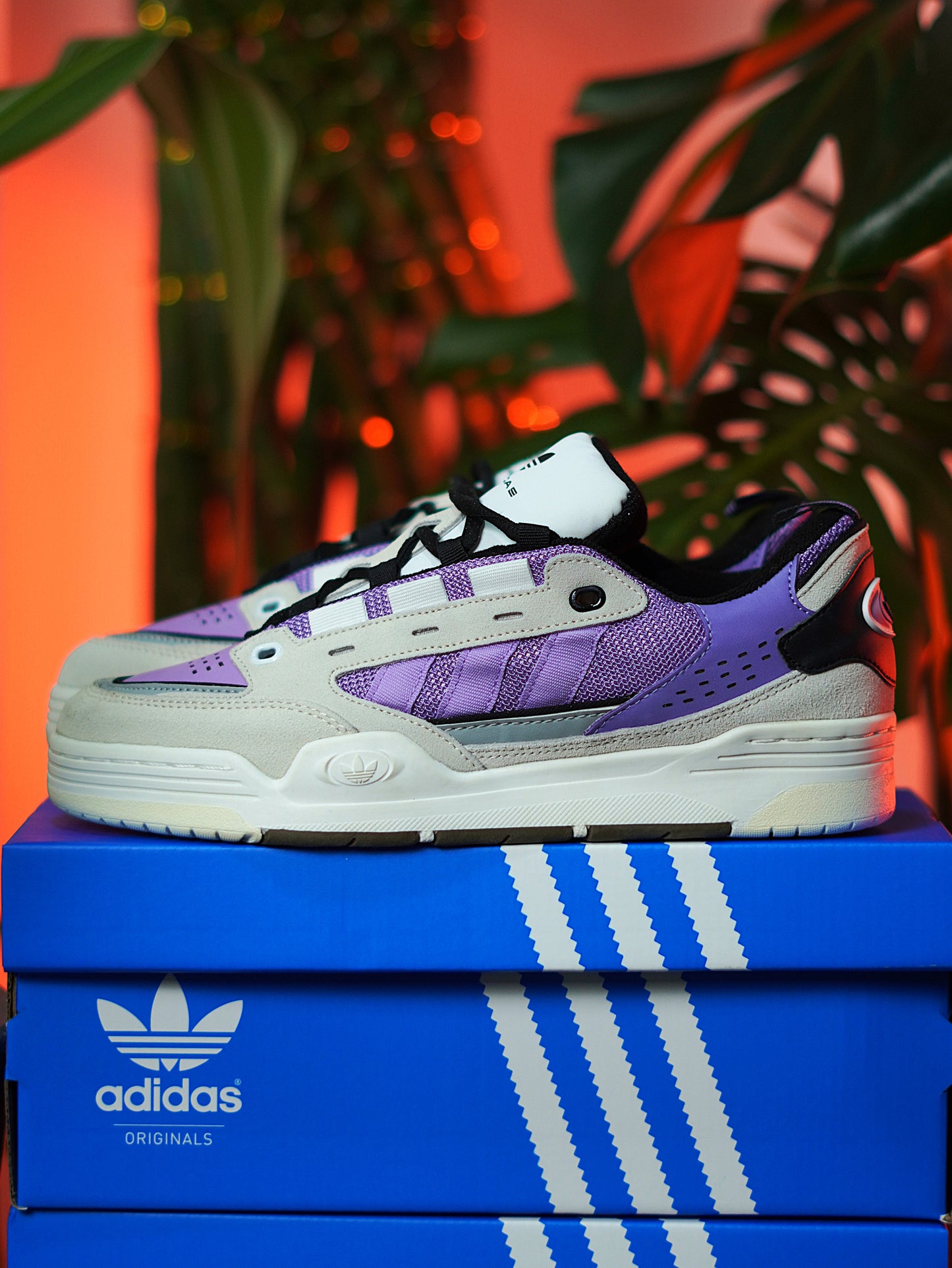 Adidas Adi 2000 - Purpura