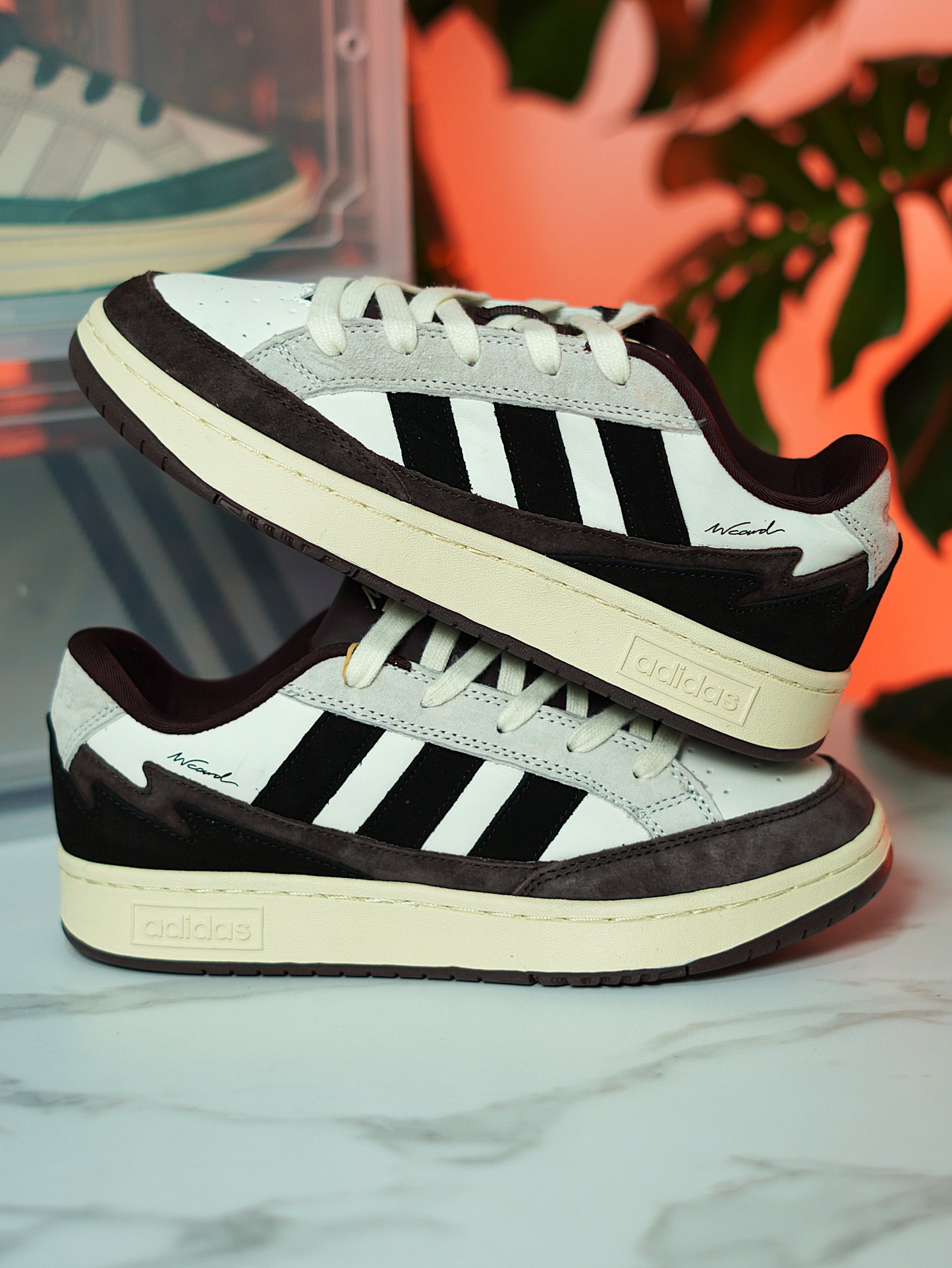 Adidas Wcard ADV - Marron/Blanco