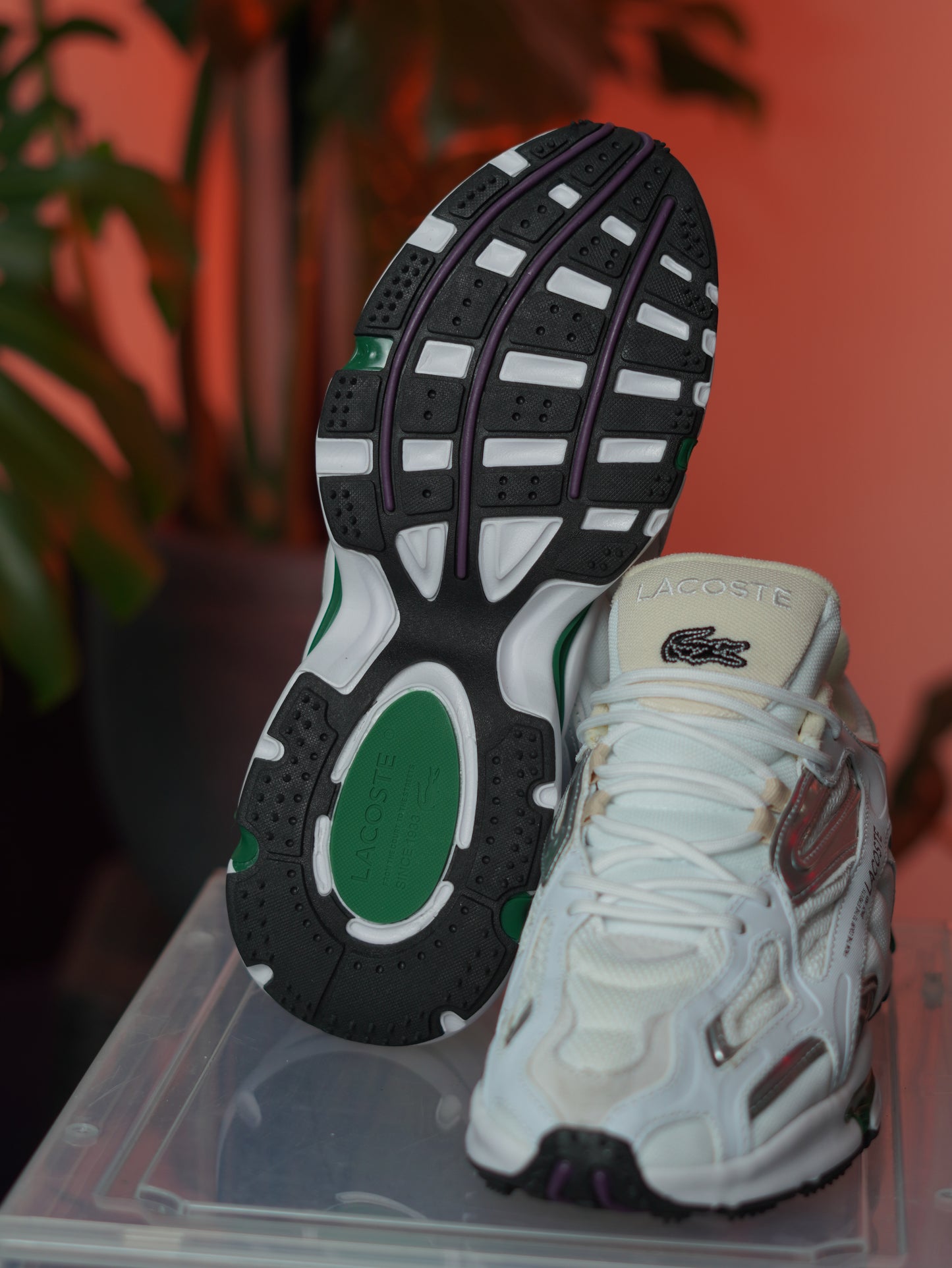 Lacoste - White green
