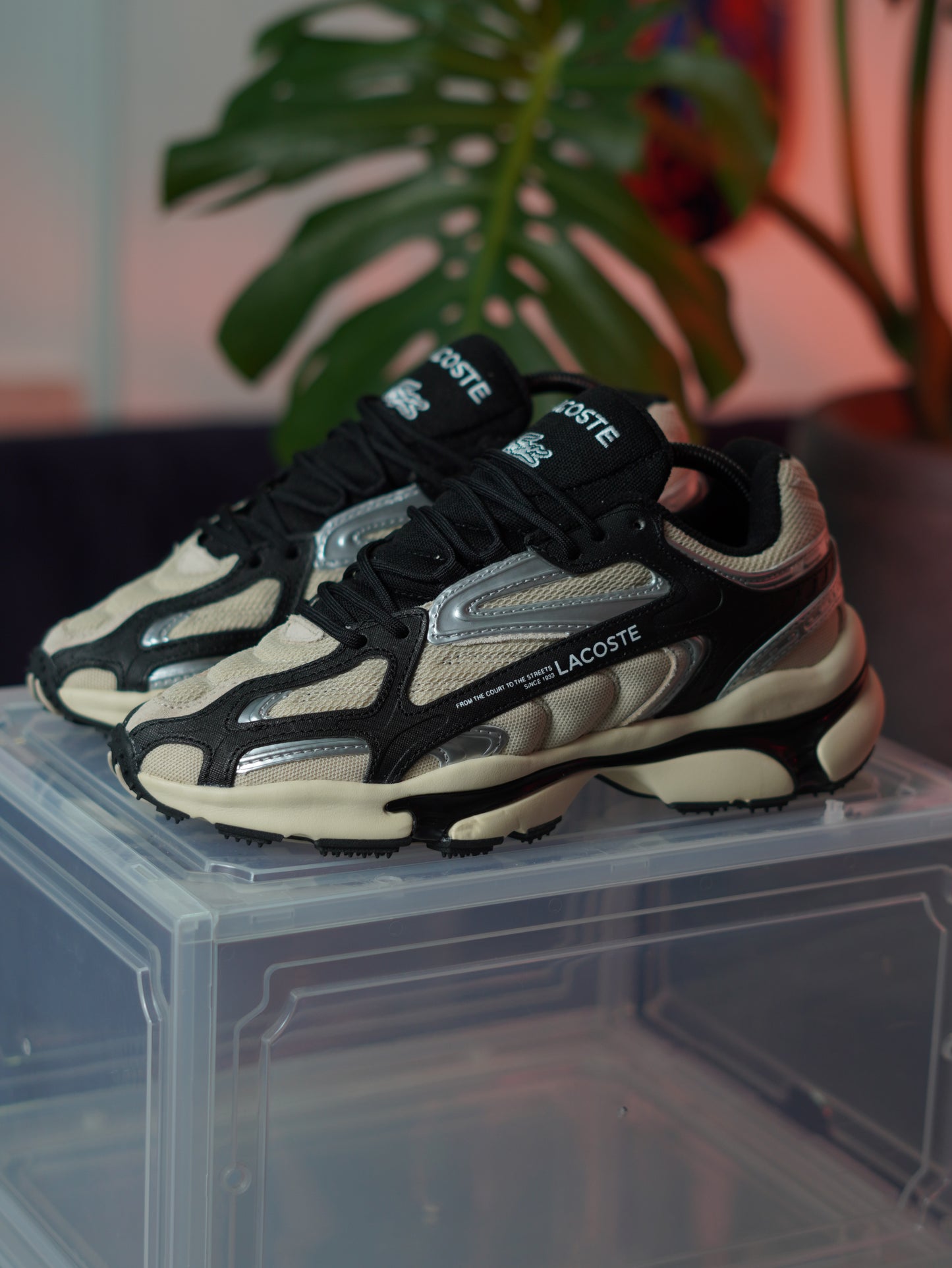 Lacoste - Black beige