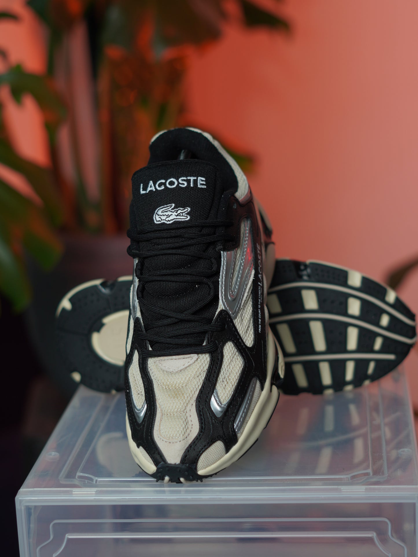 Lacoste - Black beige