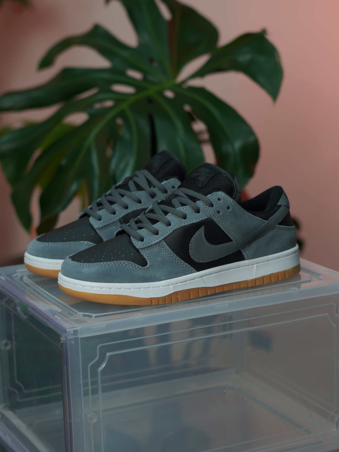 Nike SB Dunk Low - Gris humo oscuro