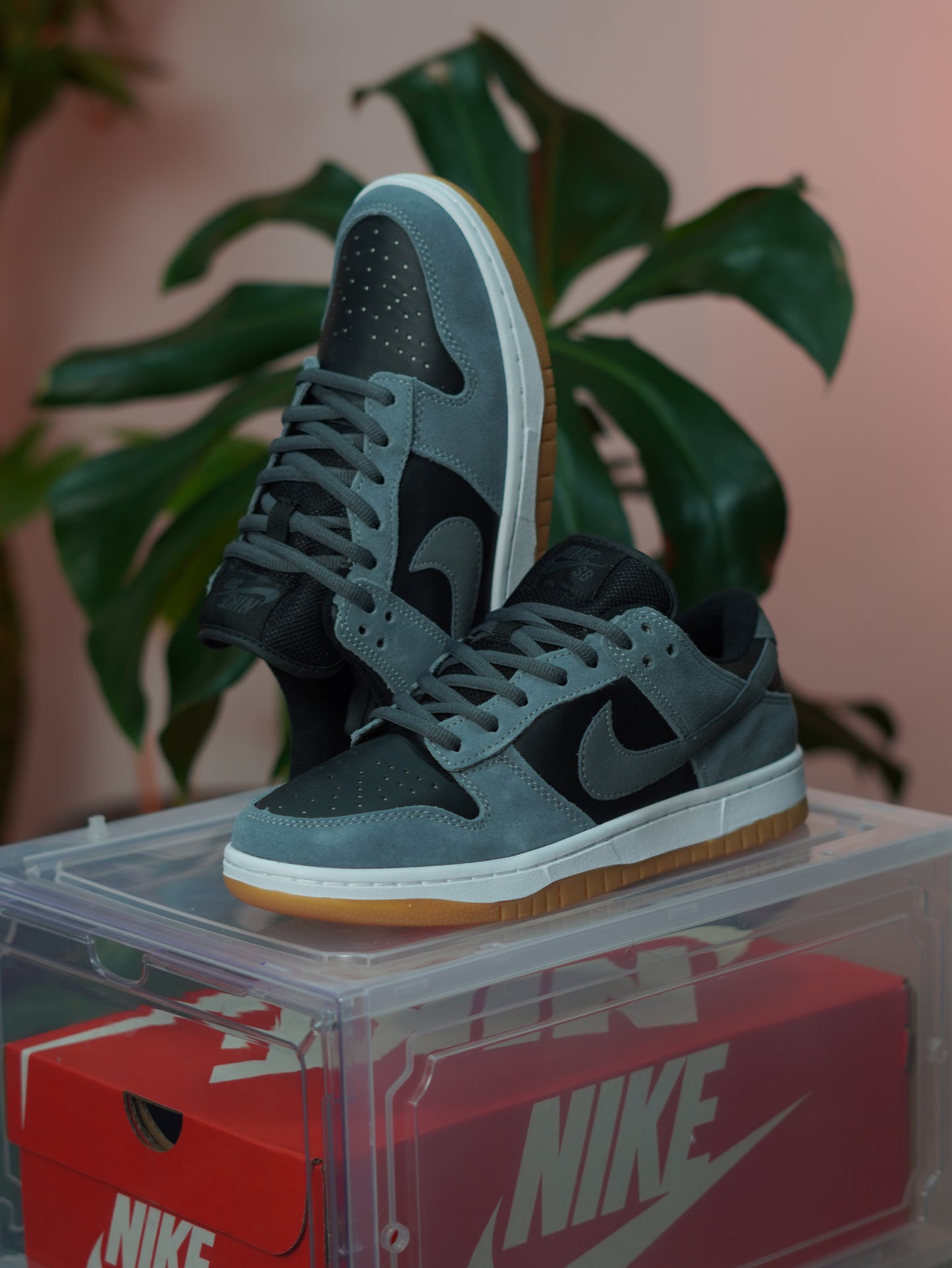 Nike SB Dunk Low - Gris humo oscuro