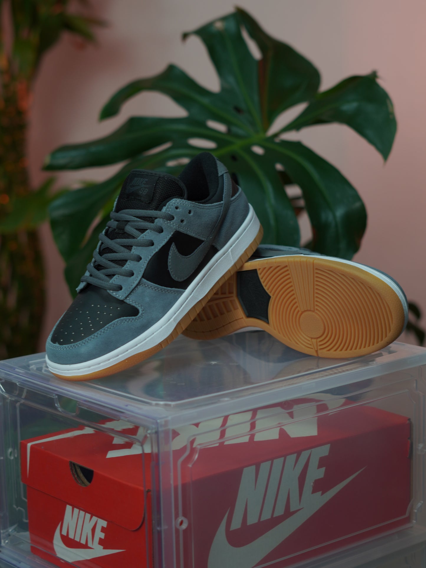 Nike SB Dunk Low - Gris humo oscuro