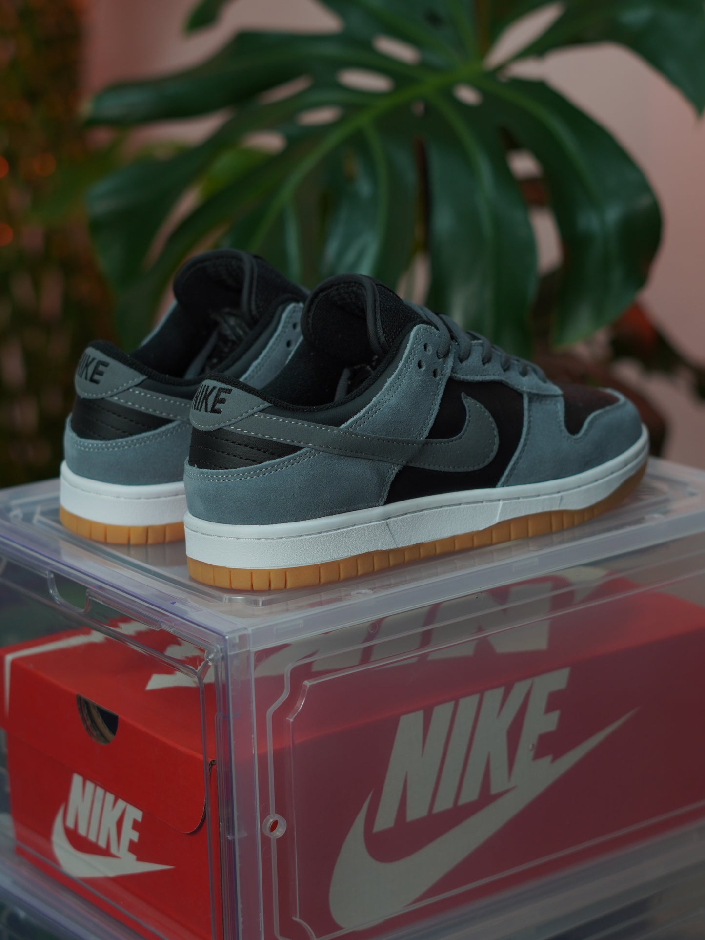 Nike SB Dunk Low - Gris humo oscuro