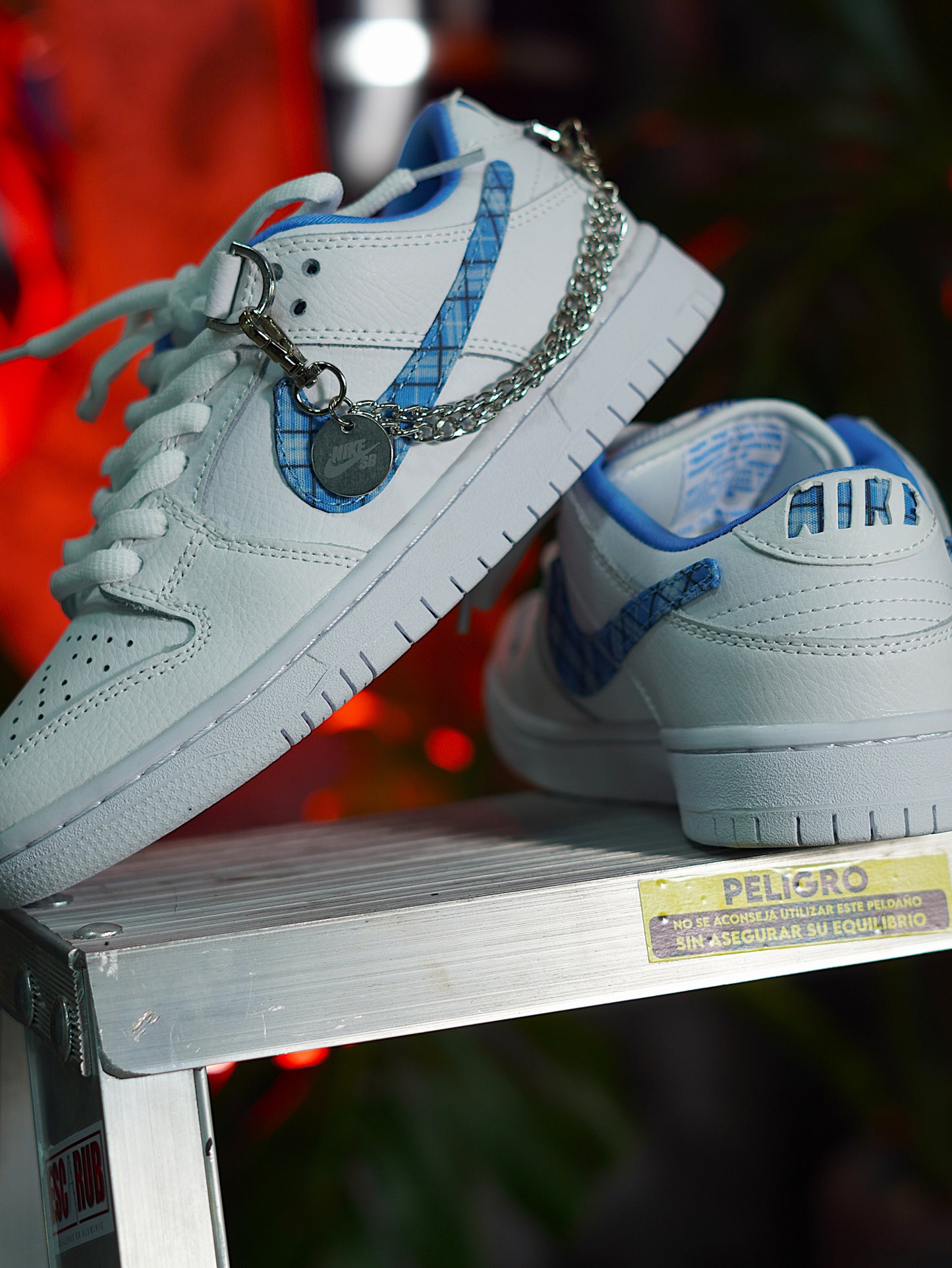 Nike SB Dunk Low X Nicol Hause