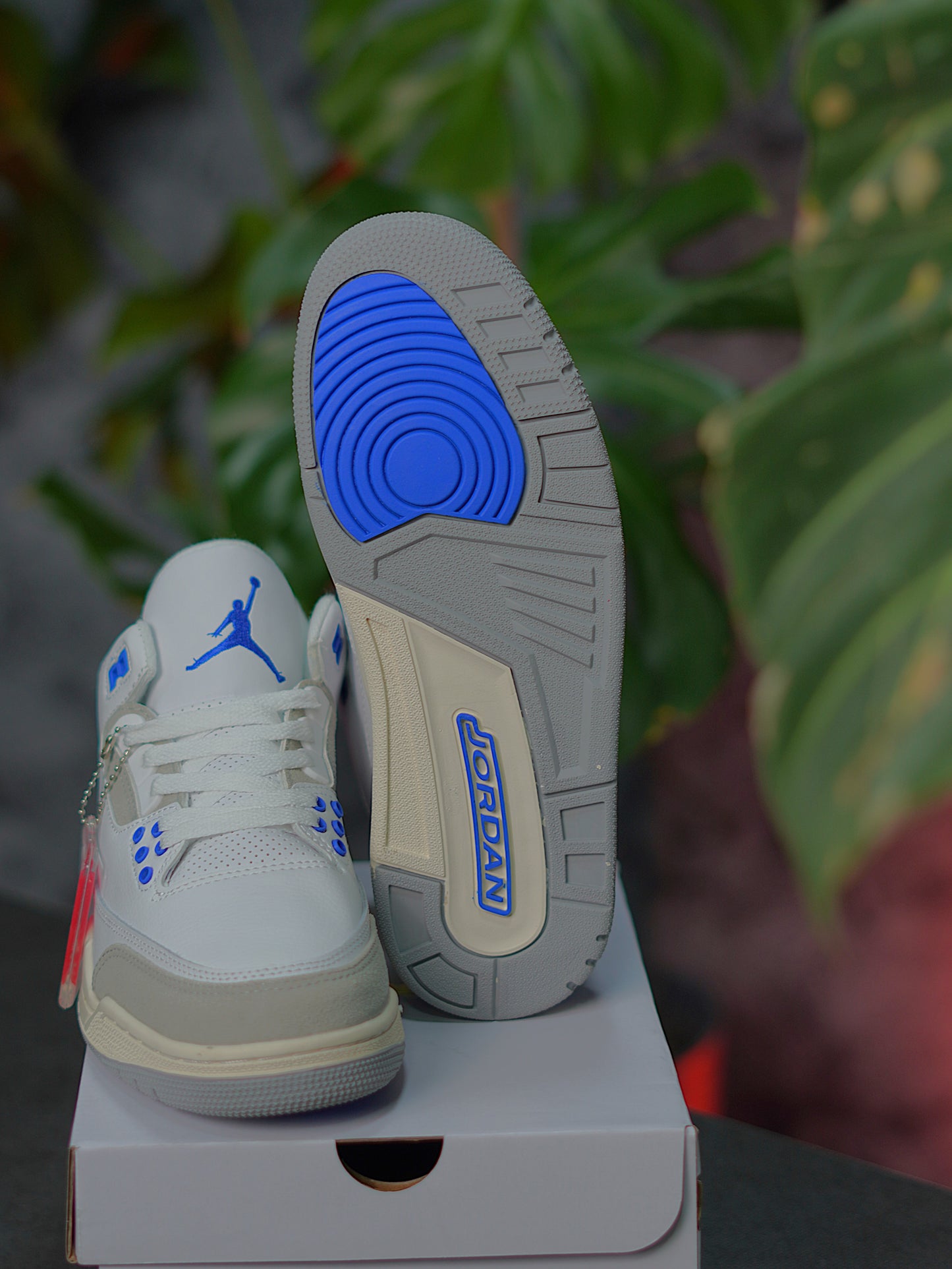 Air Jordan Retro 3 - Lucky Shorts