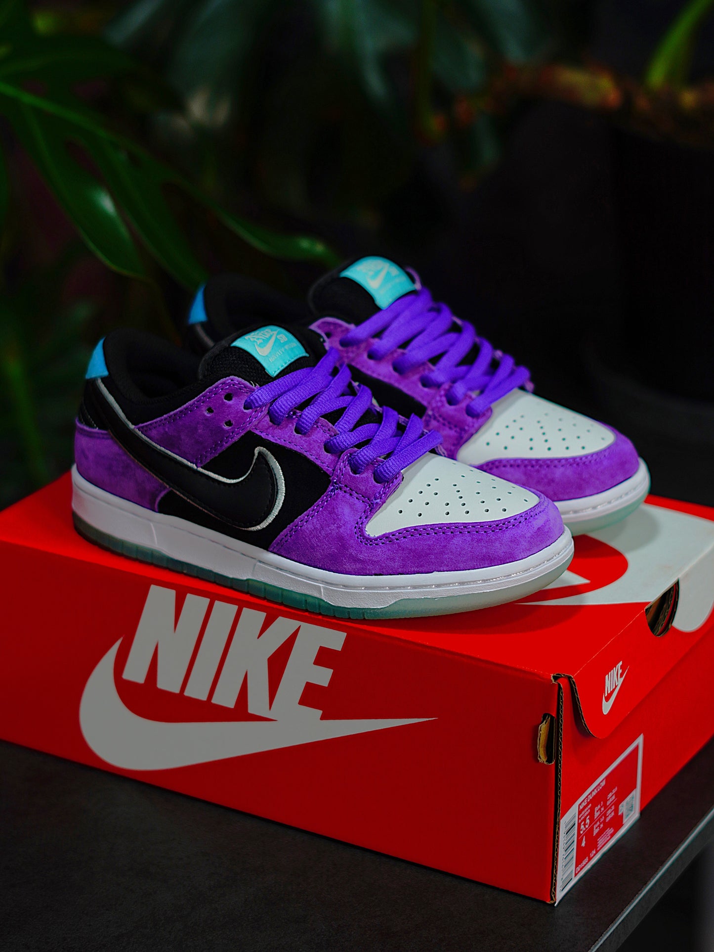 Nike Dunk SB x Hayley Wilson - Court Purple