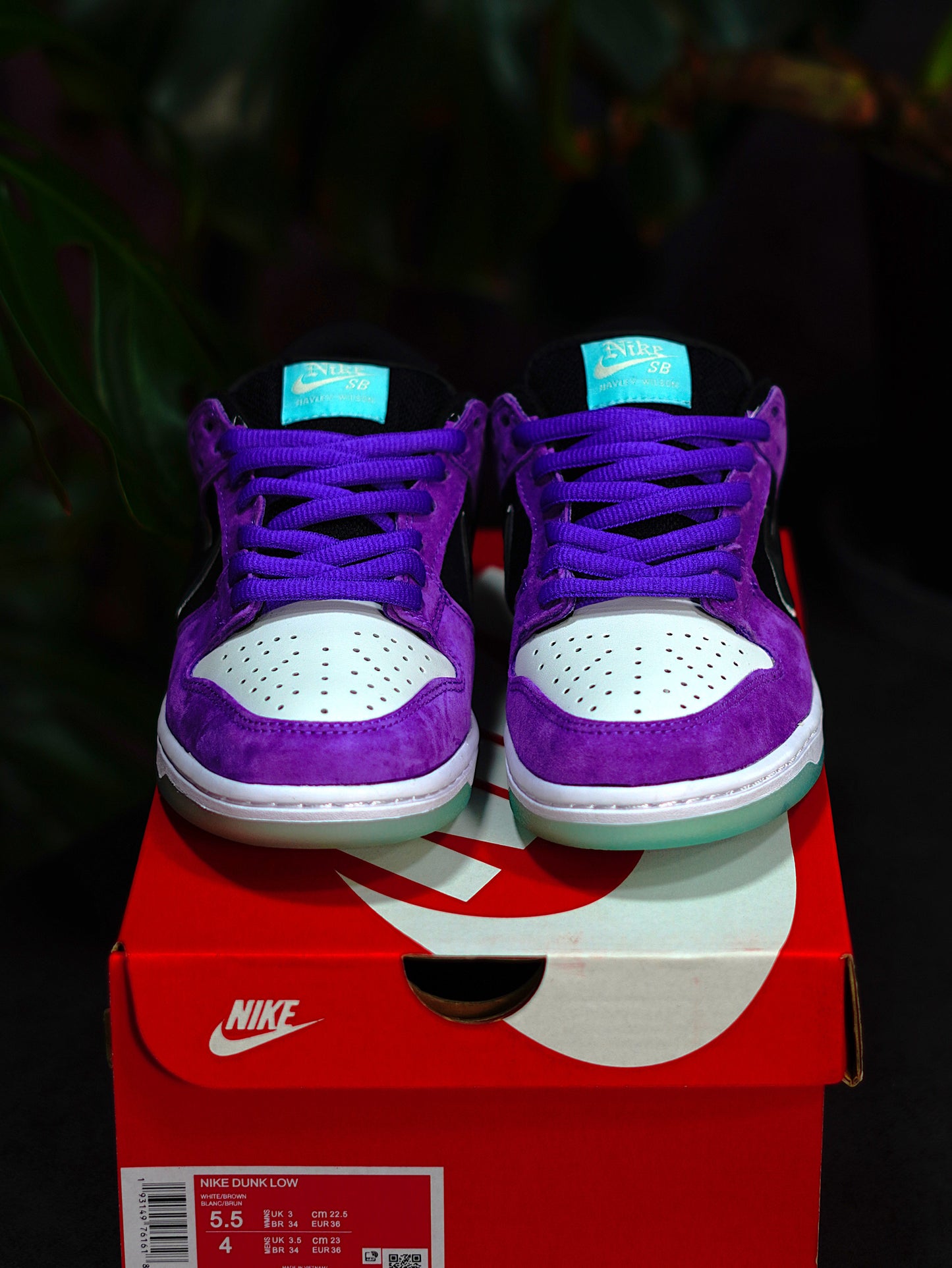 Nike Dunk SB x Hayley Wilson - Court Purple