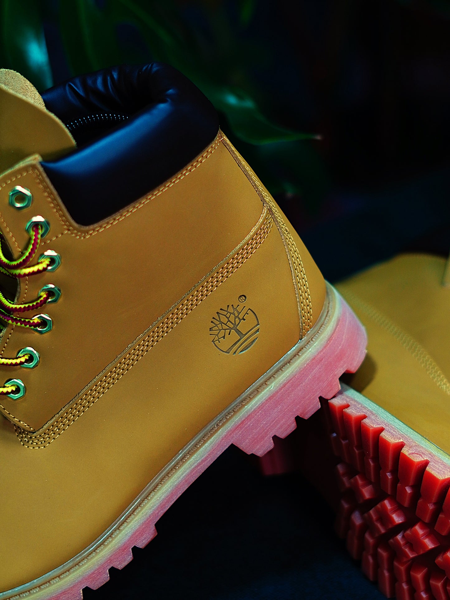 Timberland - Clasica