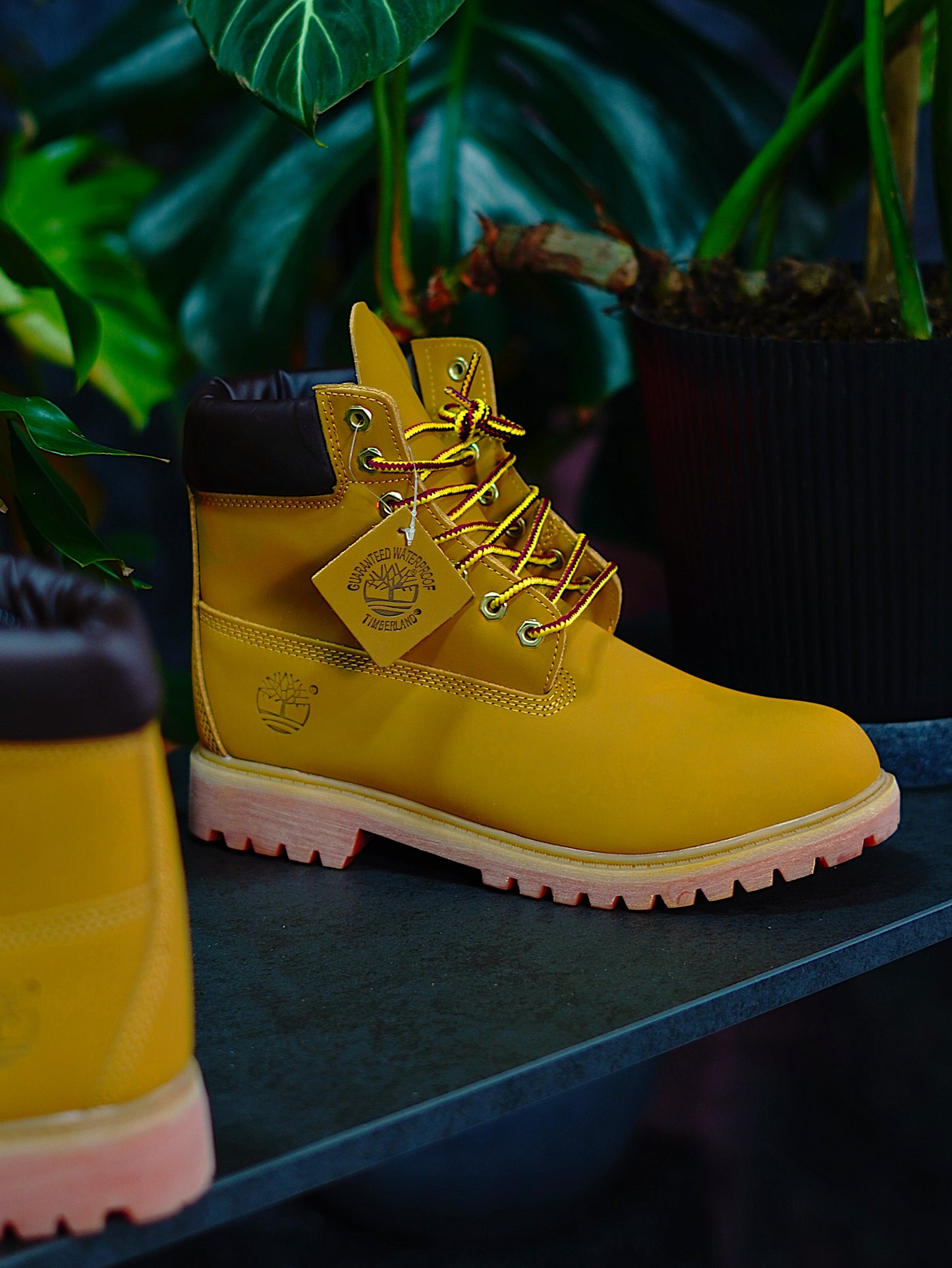 Timberland - Clasica