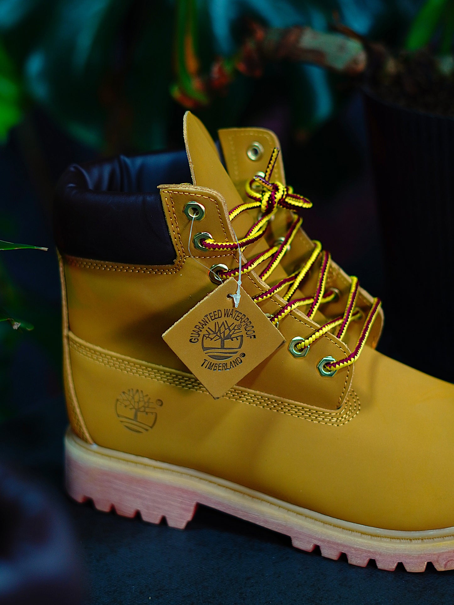 Timberland - Clasica