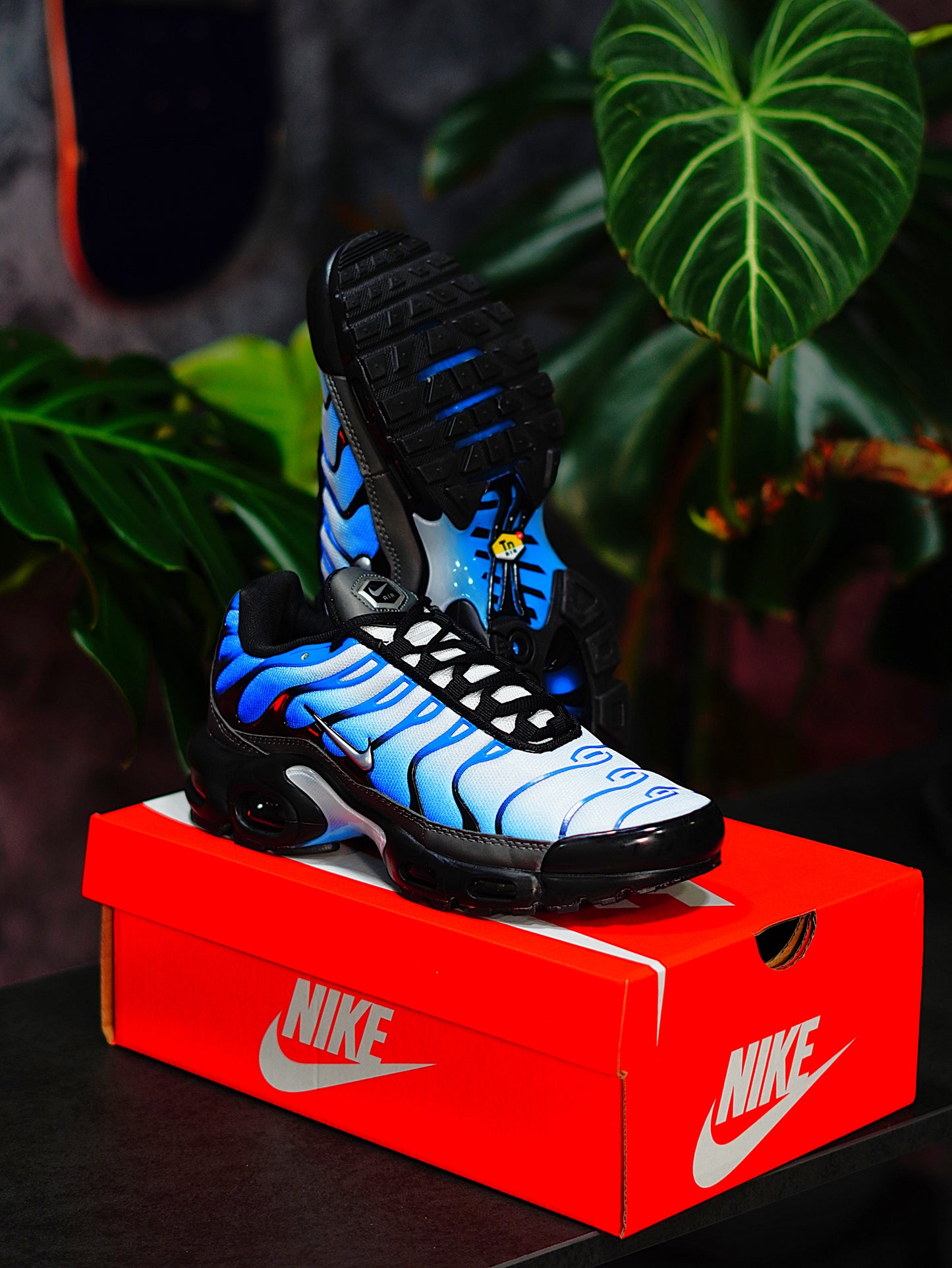 Nike Air Max TN Plus - Azul Degradado