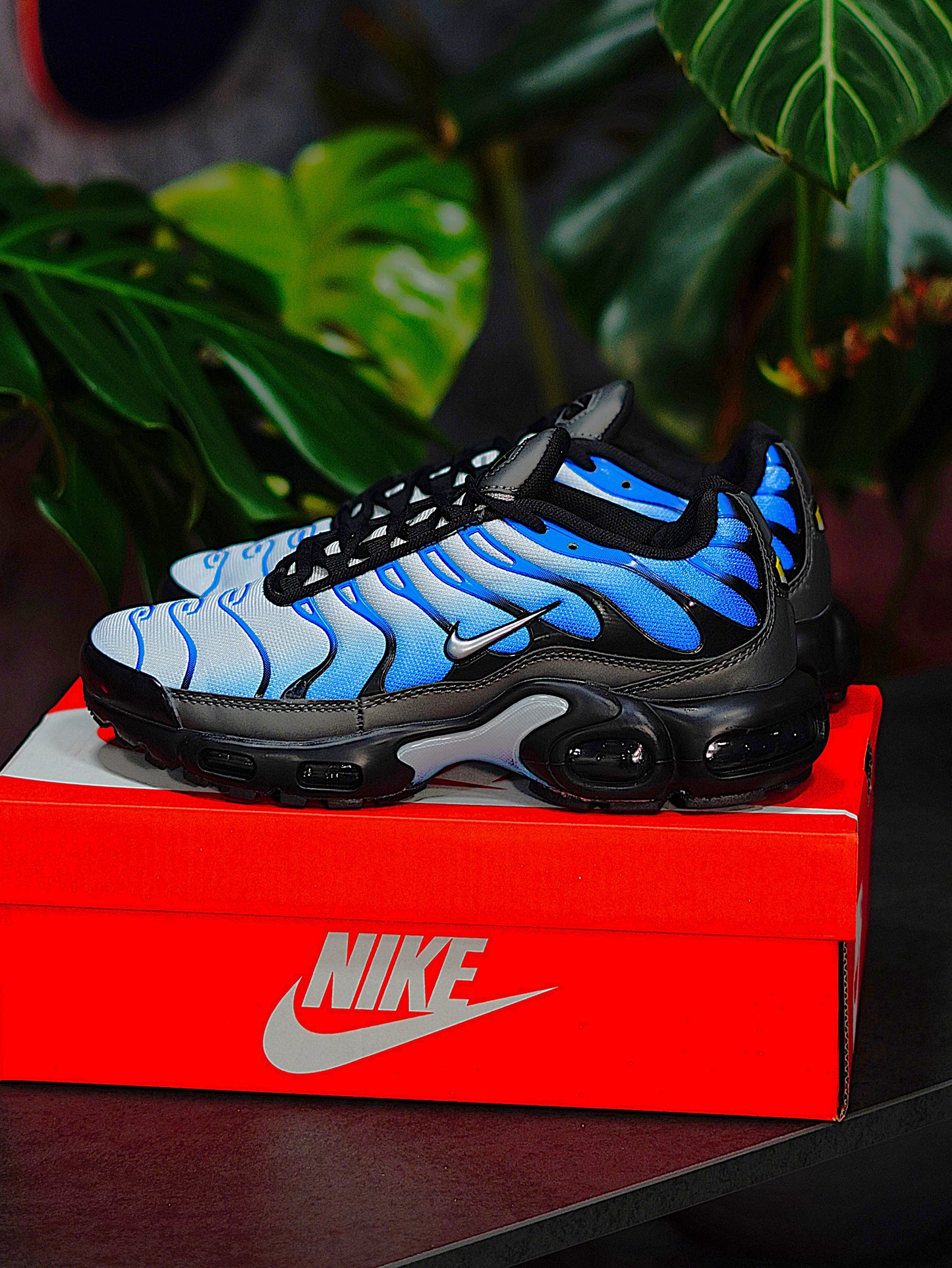 Nike Air Max TN Plus - Azul Degradado