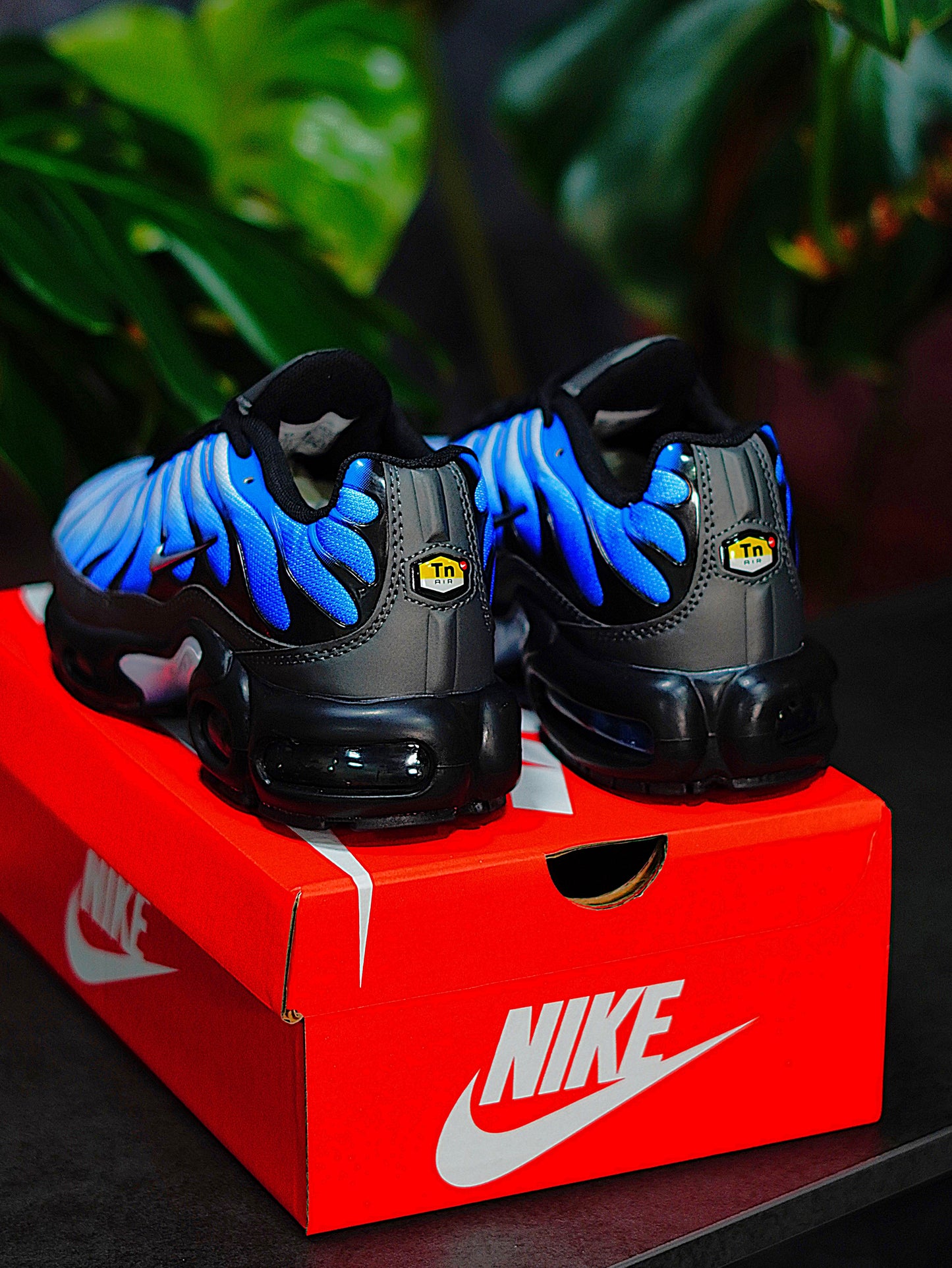 Nike Air Max TN Plus - Azul Degradado