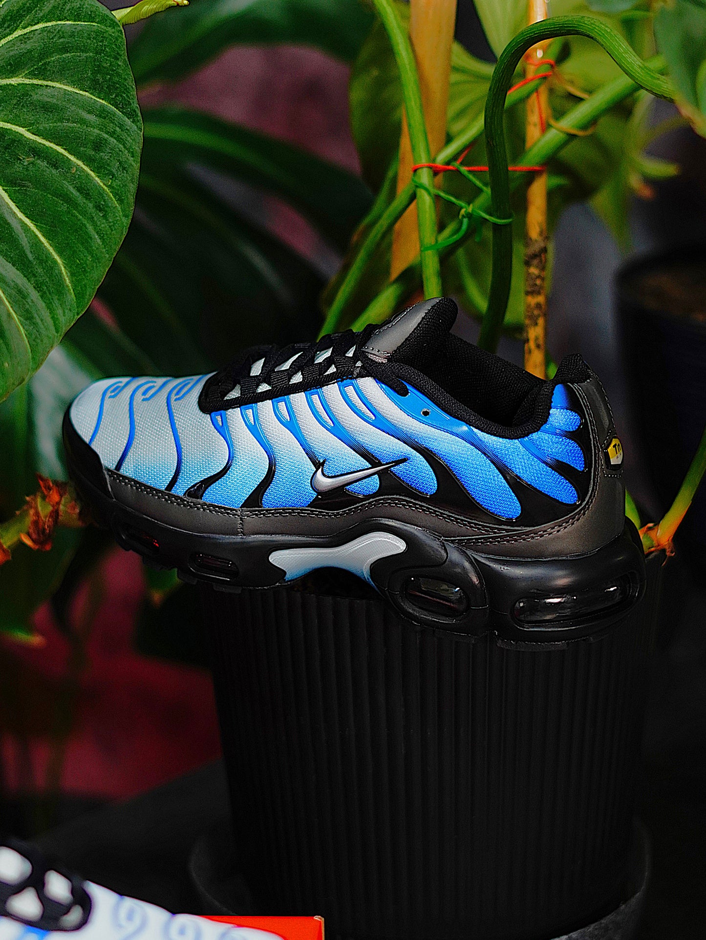 Nike Air Max TN Plus - Azul Degradado