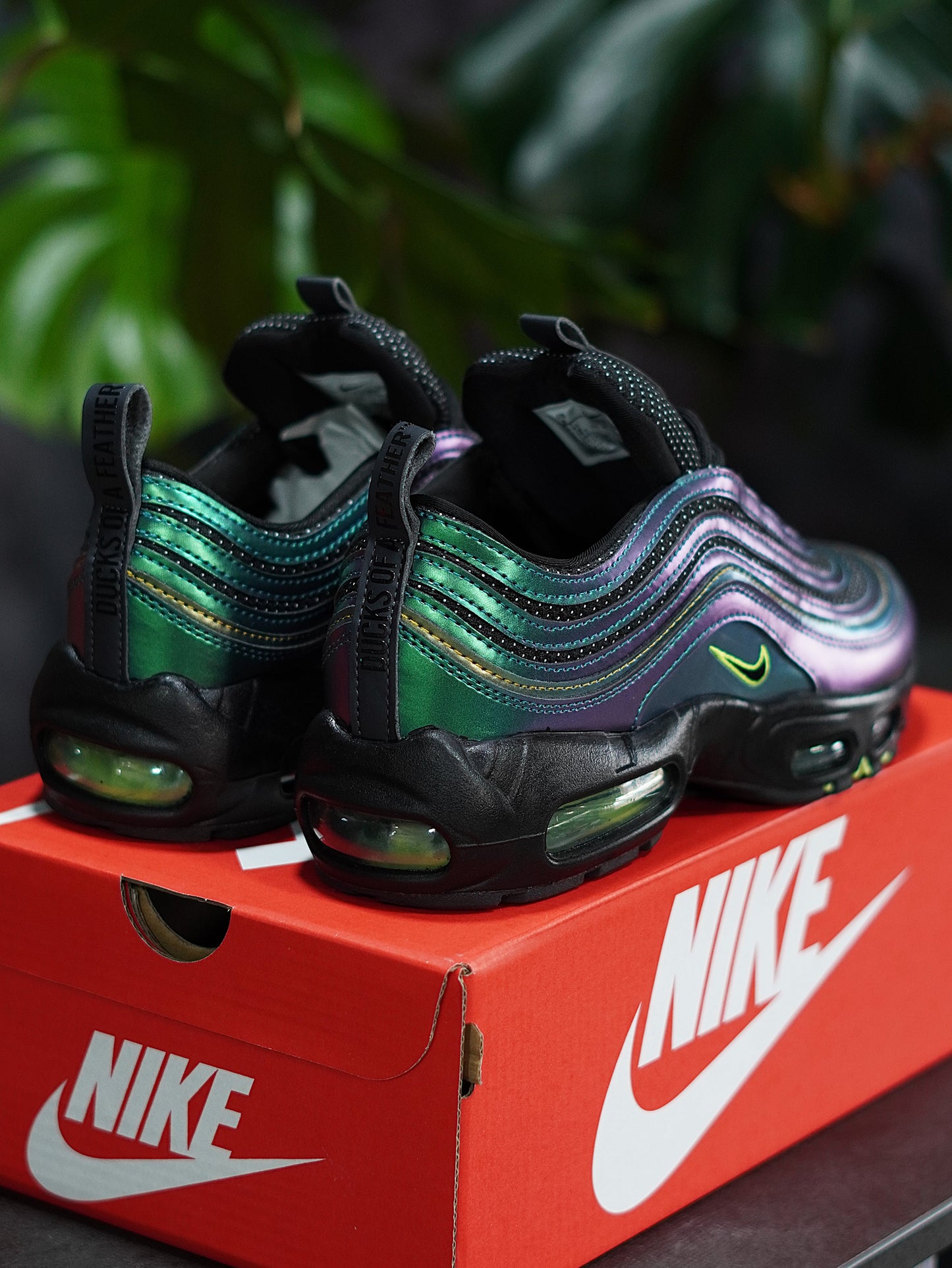 Air Max 95/97 Ducks of a Feather Storm - Tornasol