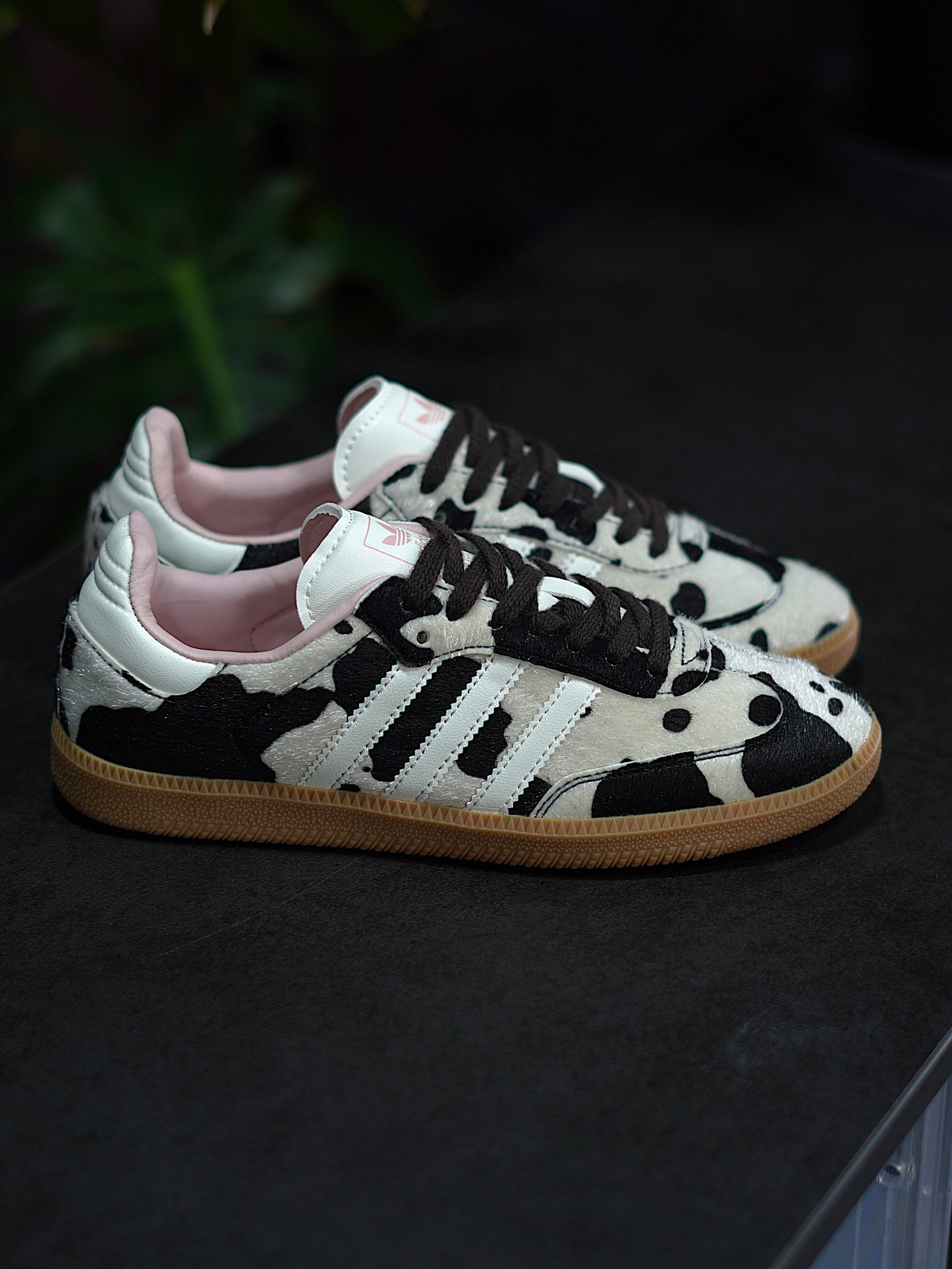 Adidas Samba OG - Cow print