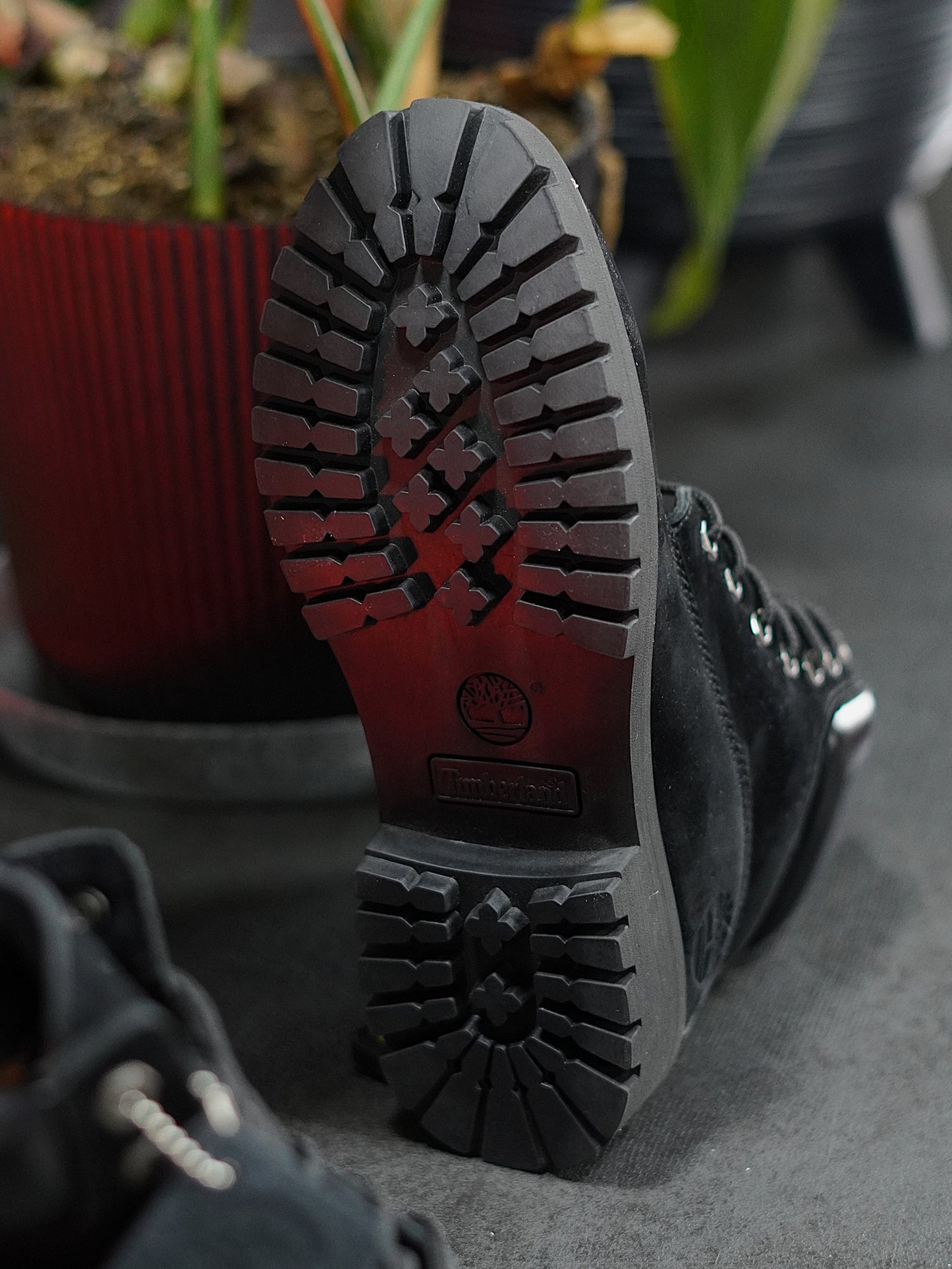 Timberland Bota - Negra, Gamuza