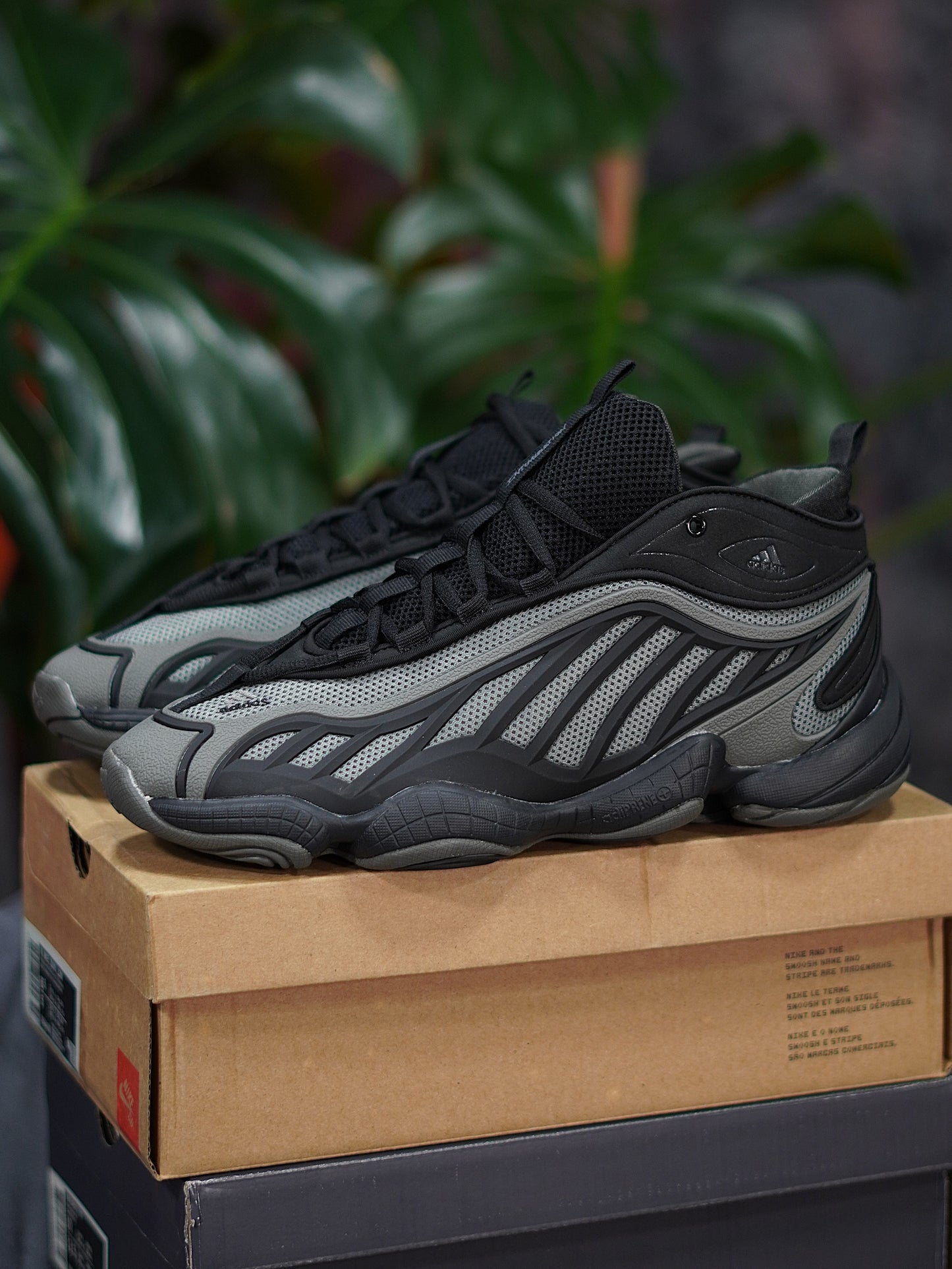 Adidas Intimidation - Negra, Gris