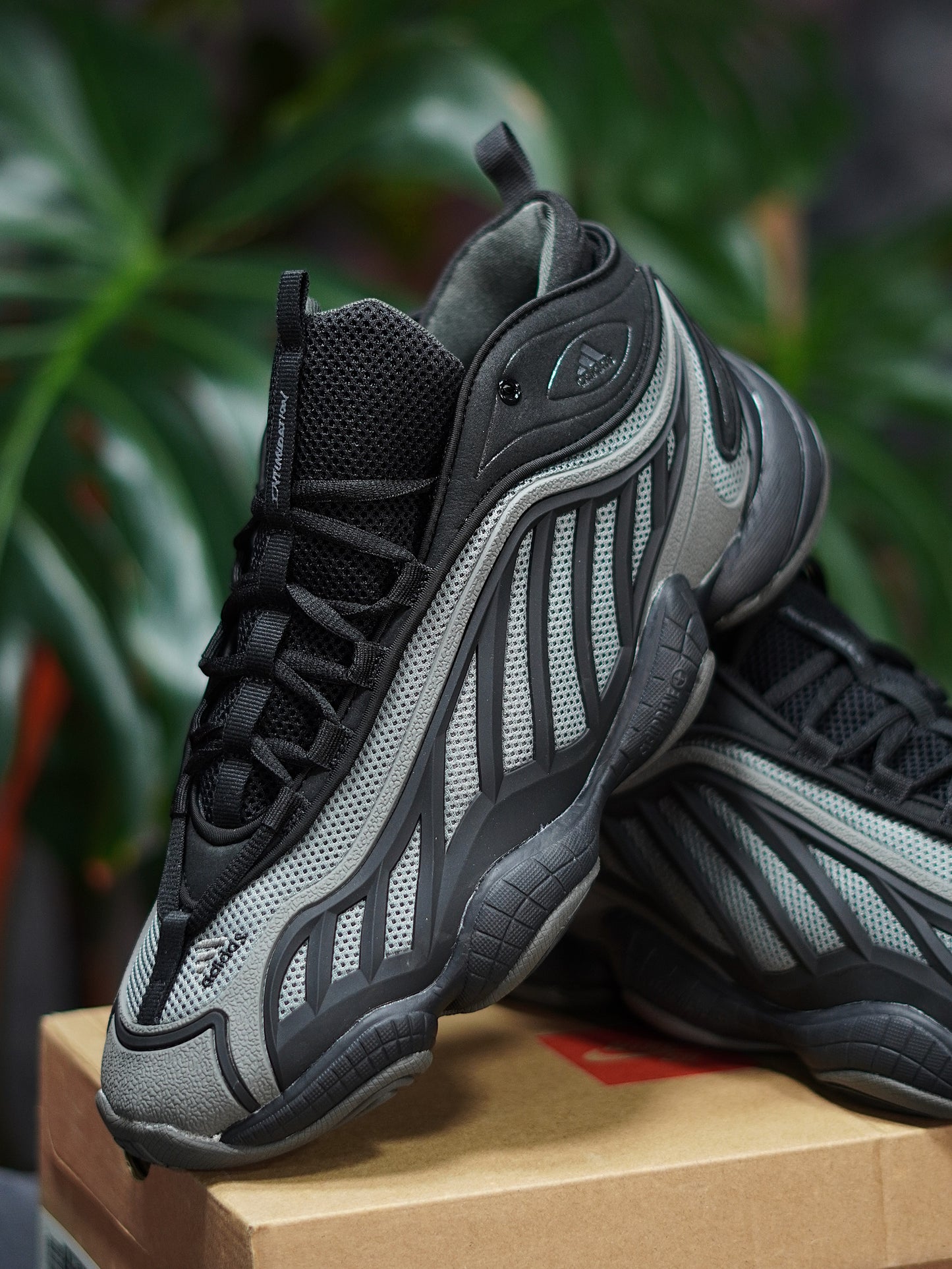 Adidas Intimidation - Negra, Gris