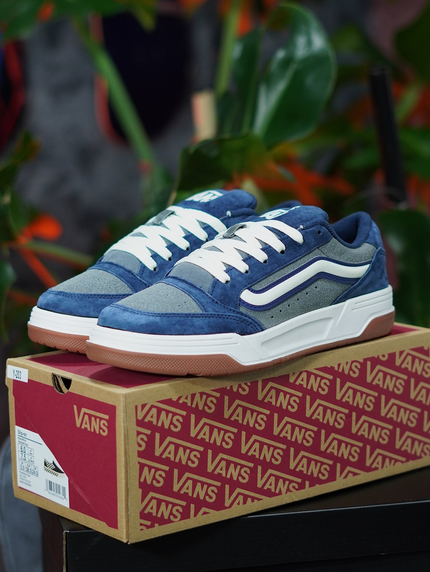 Vans Hylane - Azul