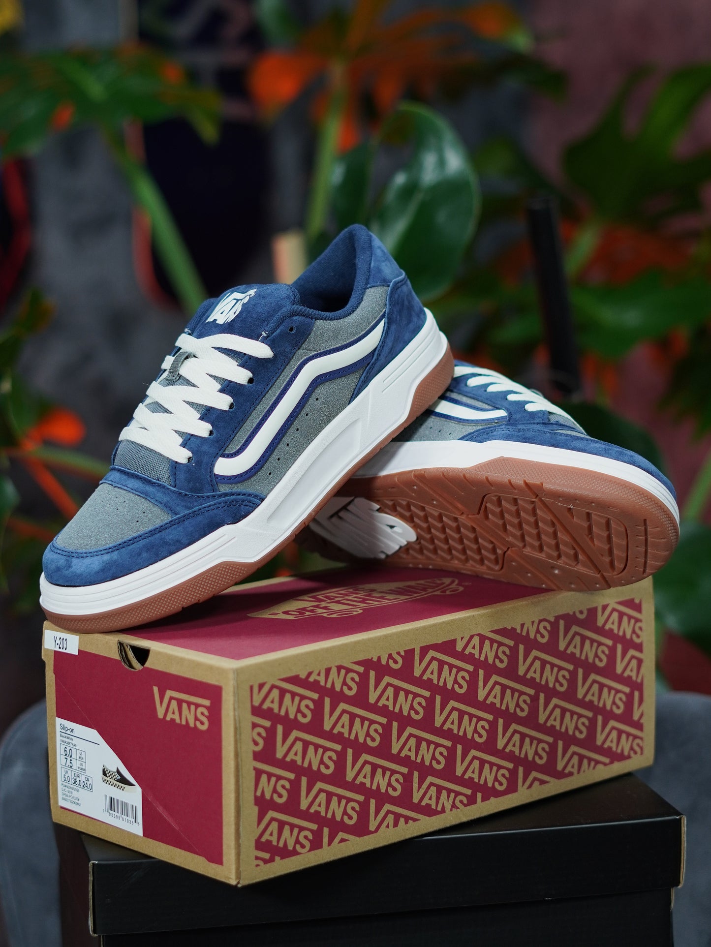 Vans Hylane - Azul