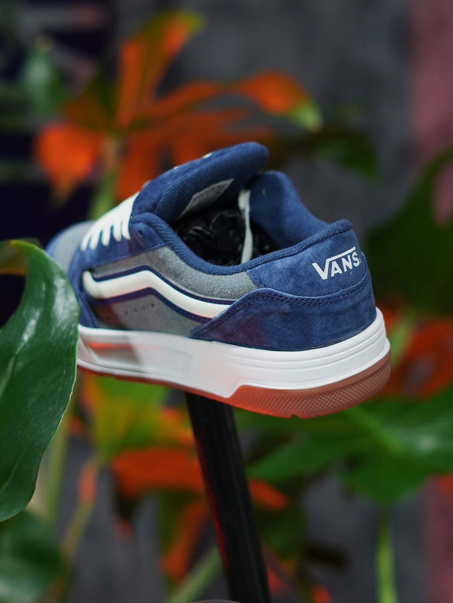 Vans Hylane - Azul