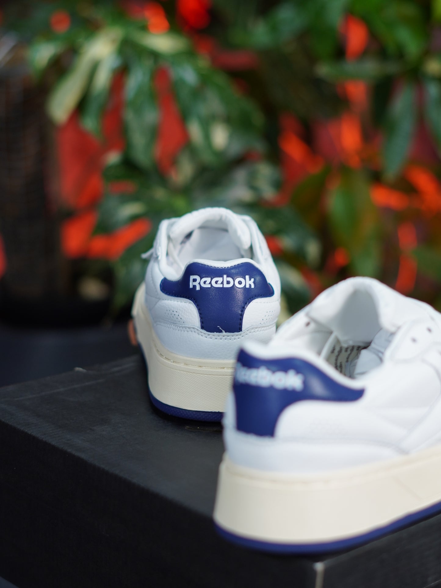 Reebok Club C LTD - Blanco, Azul