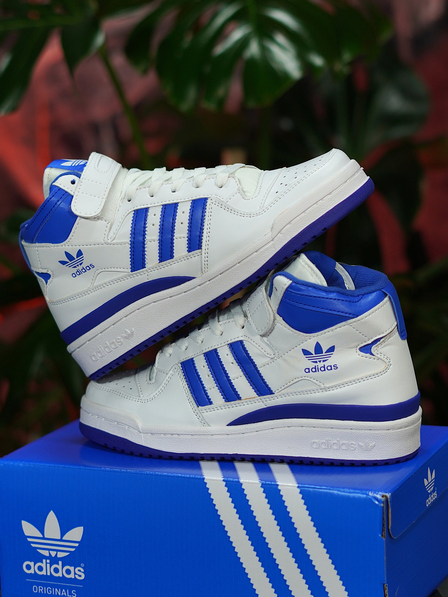 Adidas Forum High - Blanca, Azul